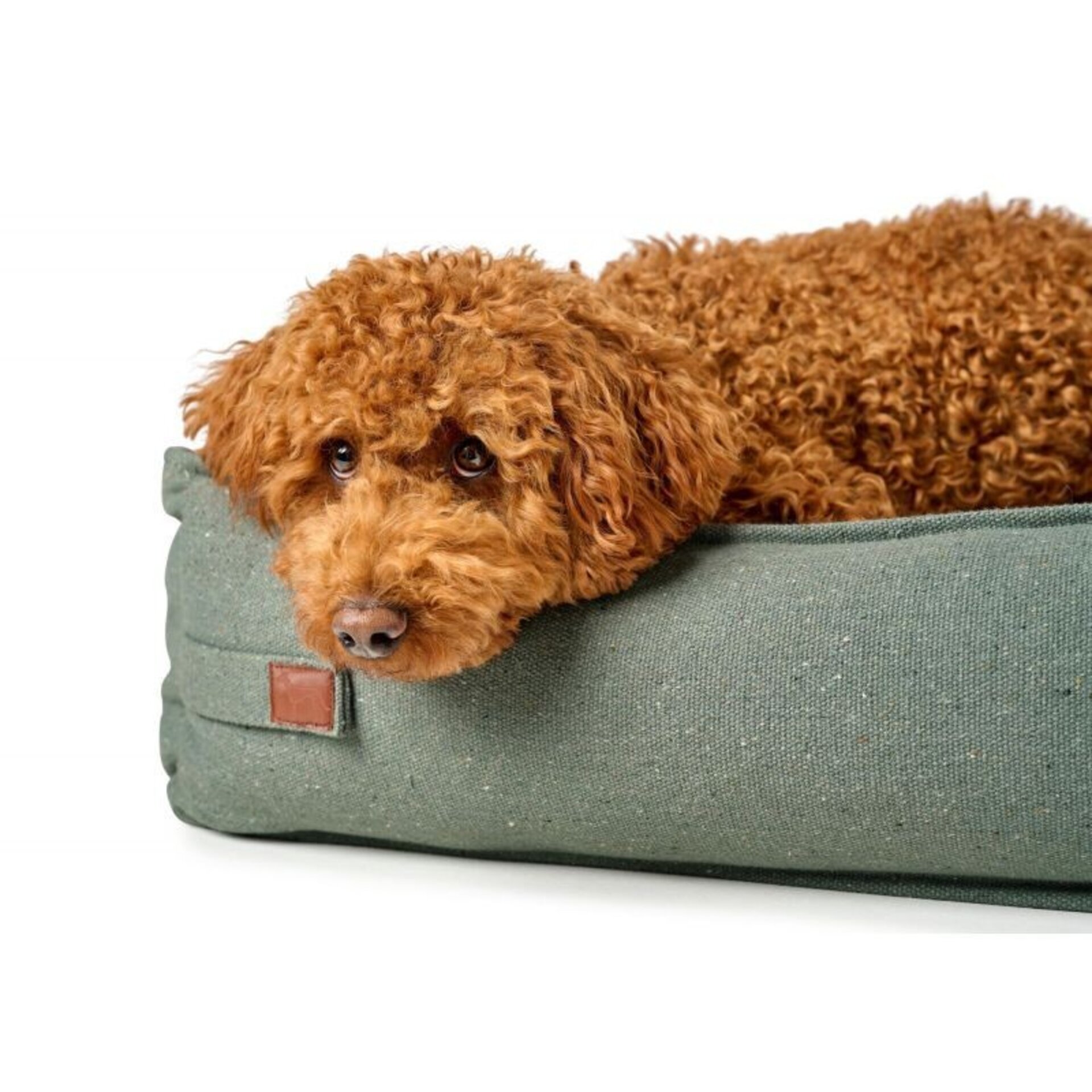 Cama Belluno Hunter - 4