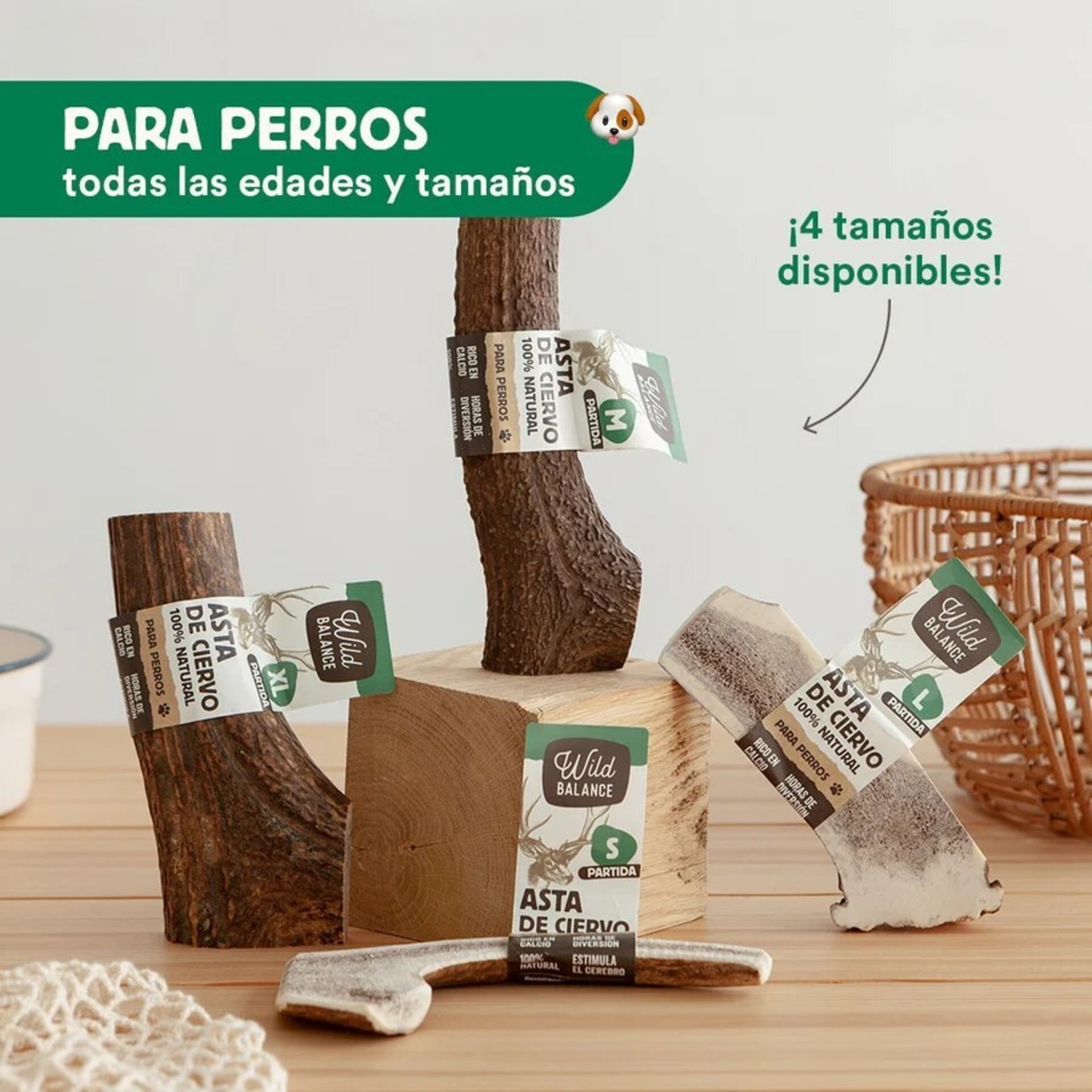 Wild Balance Mordedor Asta de Ciervo Partida - 2