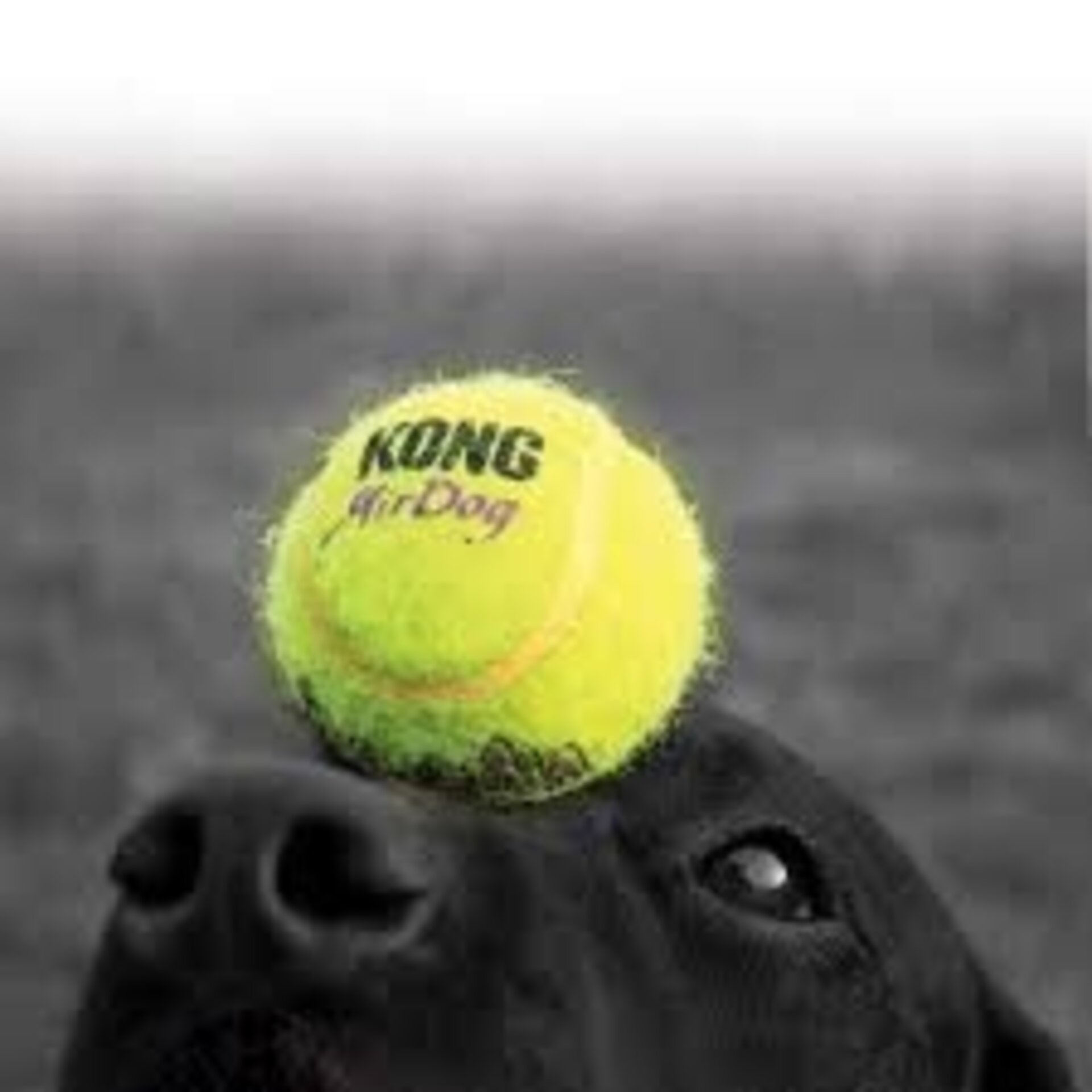 Kong AirDog Squeakair Balls para Perros - 4