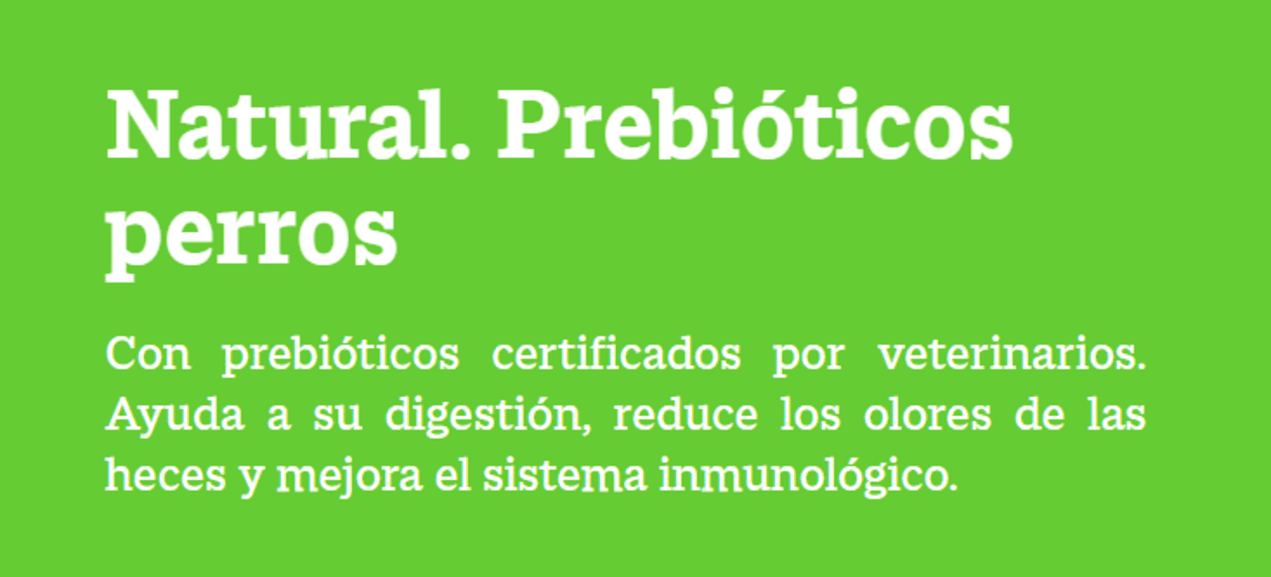 Yowup Yogur Natural Para Perros - 12