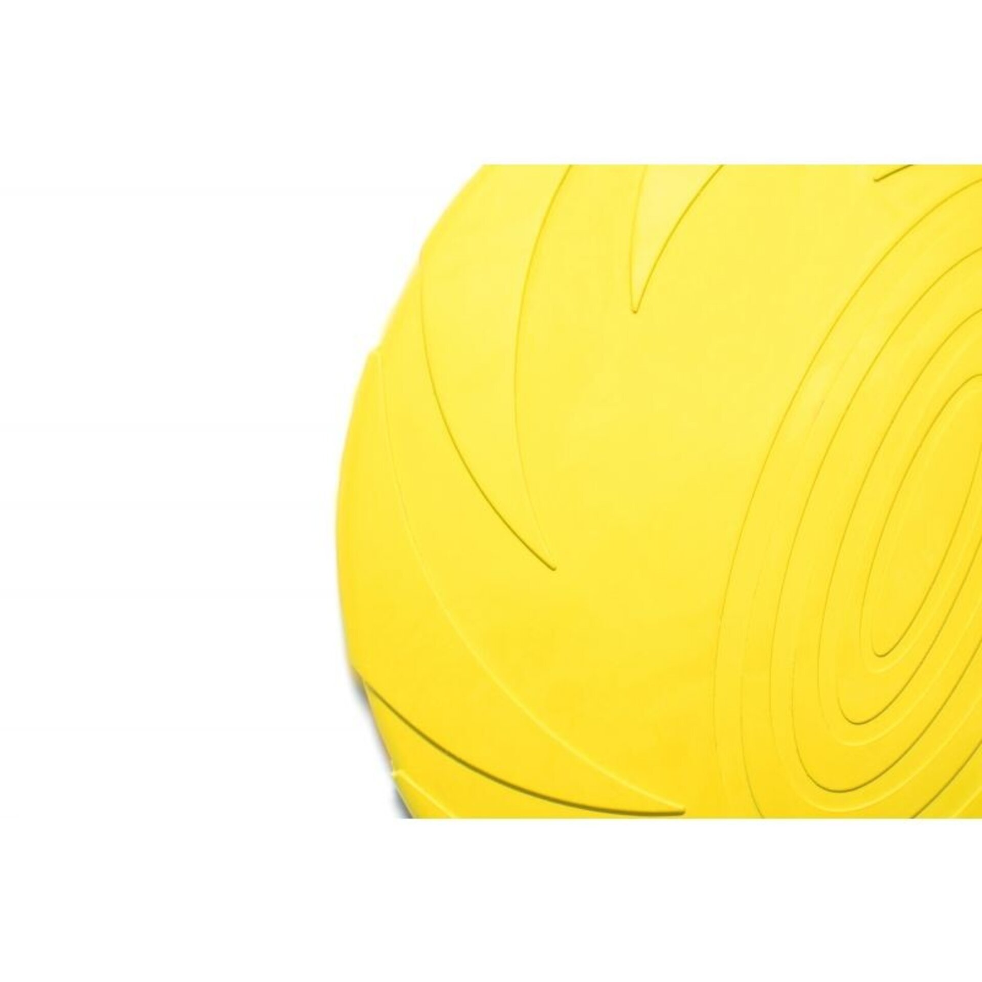 Gloria Frisbee para Perros - 10