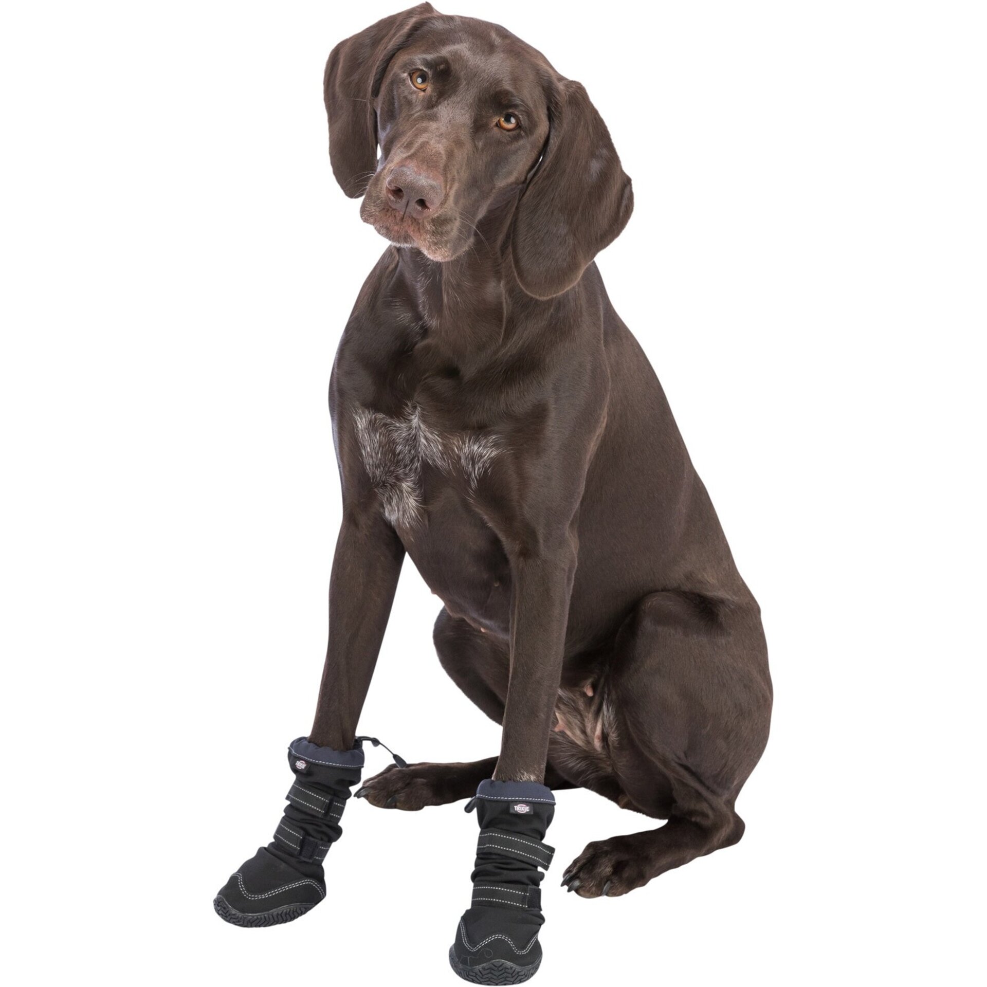 Andador De Protección De Patas Activo Largo - 9