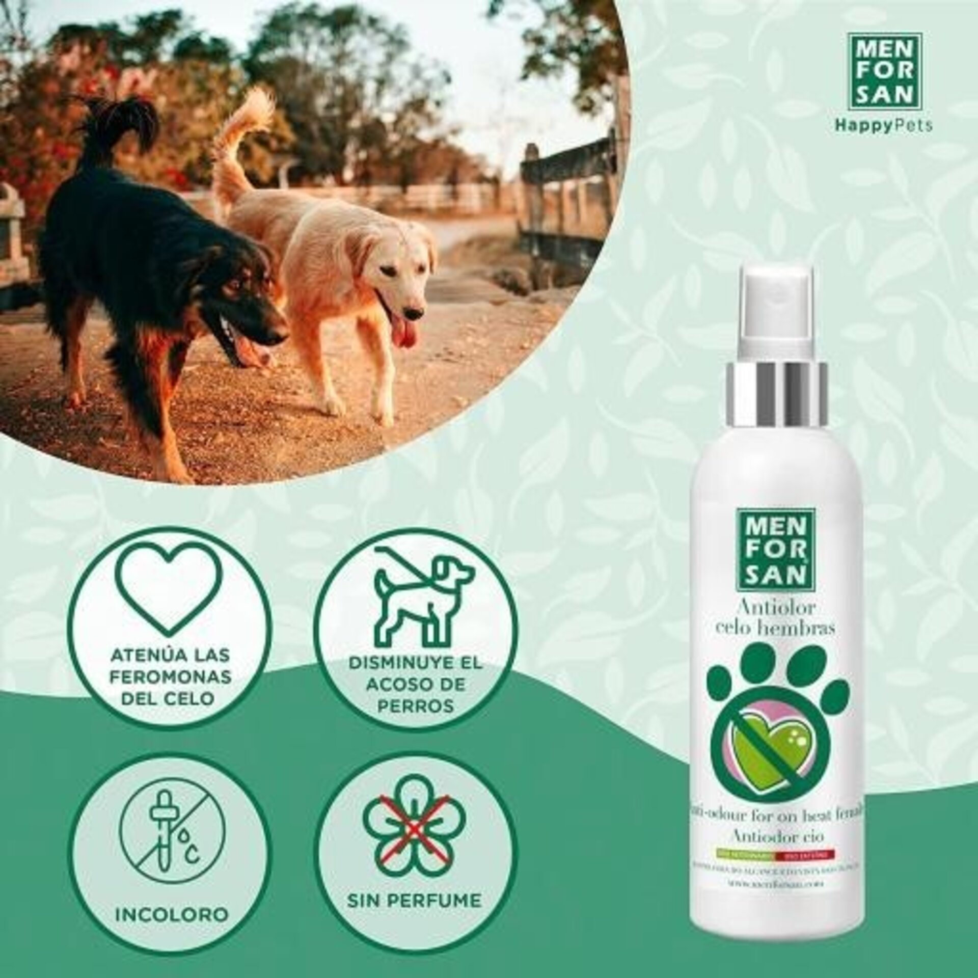 Men For San Spray Antiolor Hembras en Celo - 2