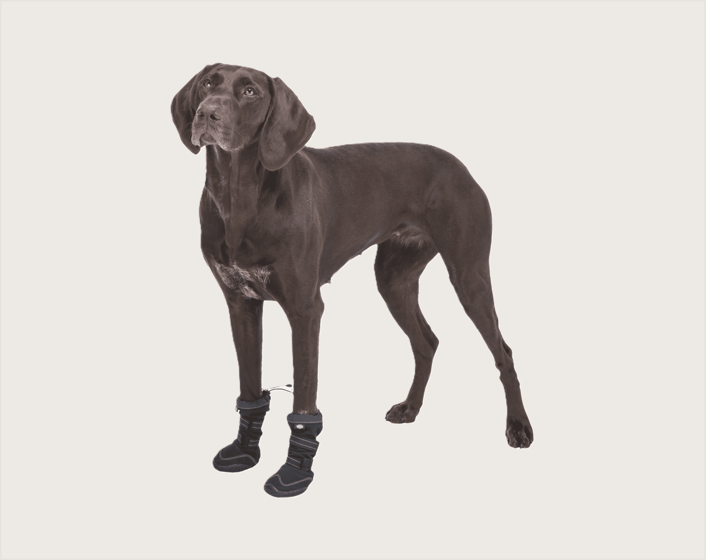 Trixie Botas de Protección Largas - 1