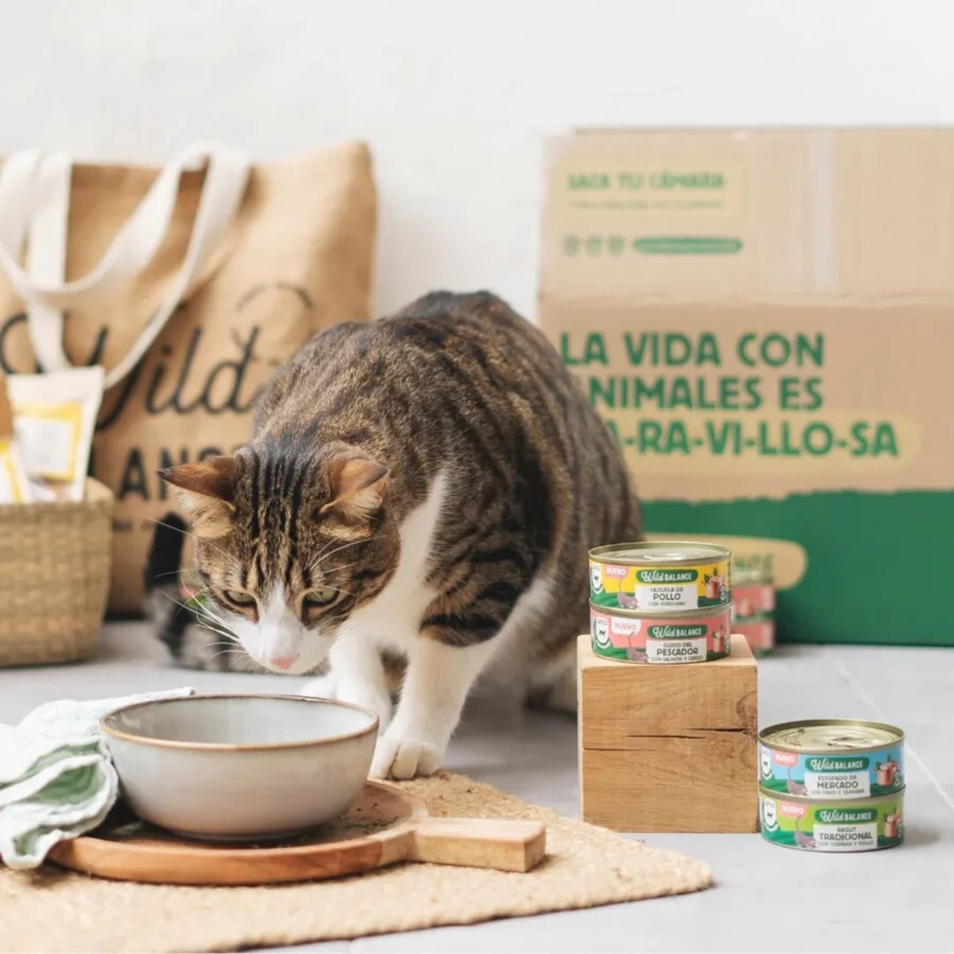 Wild Balance Guiso del Pescador con Salmón y Cerdo para Gatos (Filosofía BARF) - 5