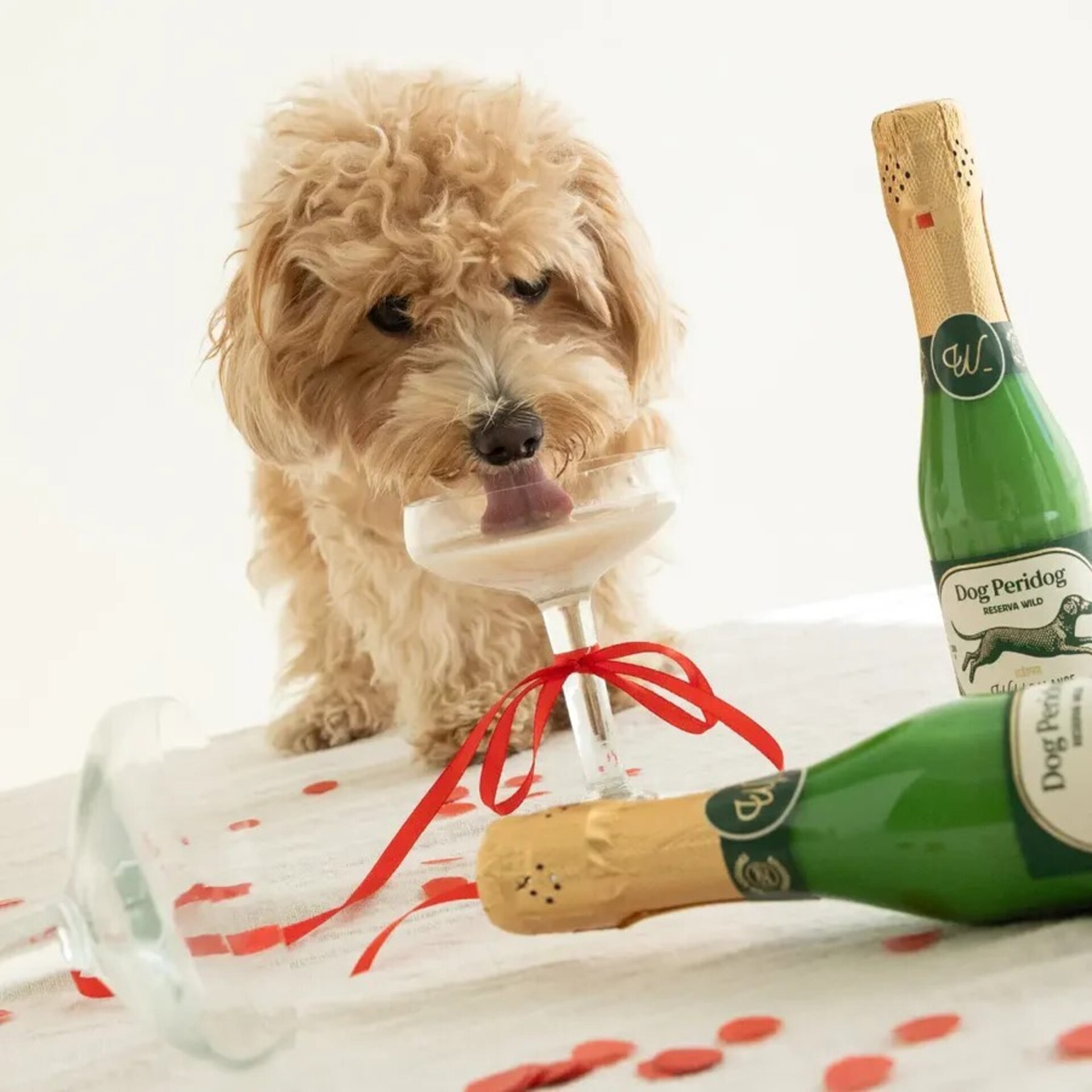 Wild Balance Kéfir de Vaca Dog Peridog (Peros & Gatos) - 5