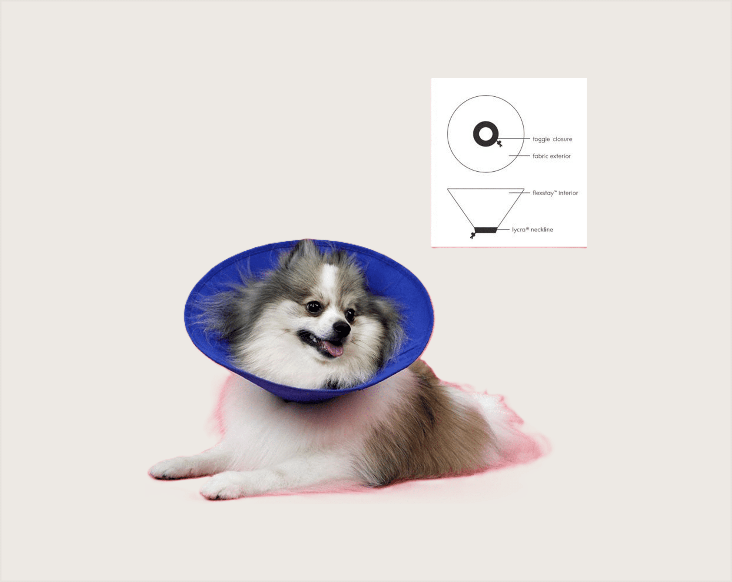 KVP EZ Collar Soft Isabelino para Mascotas - 1