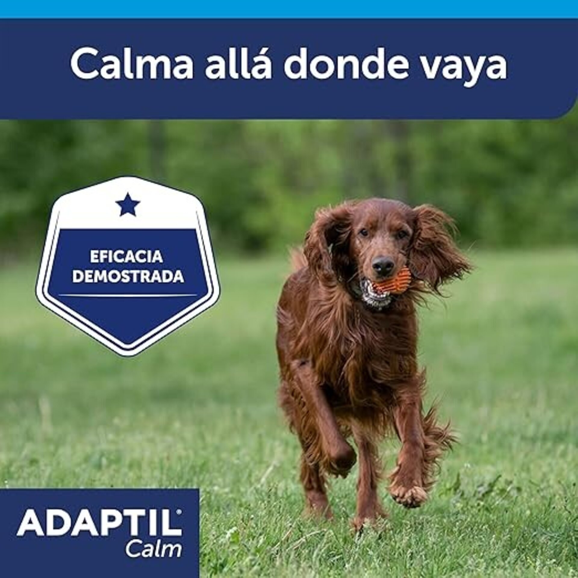 Adaptil Collar Adulto - 12