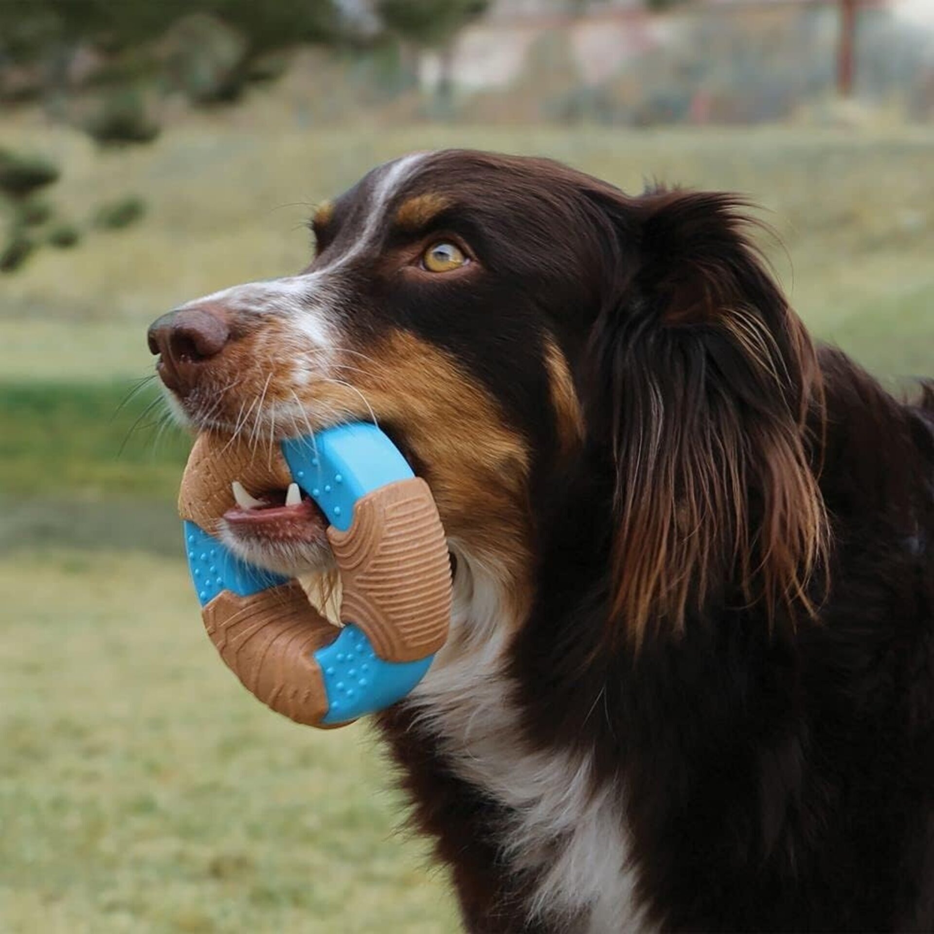 Kong Corestrength Bamboo Bone - 4