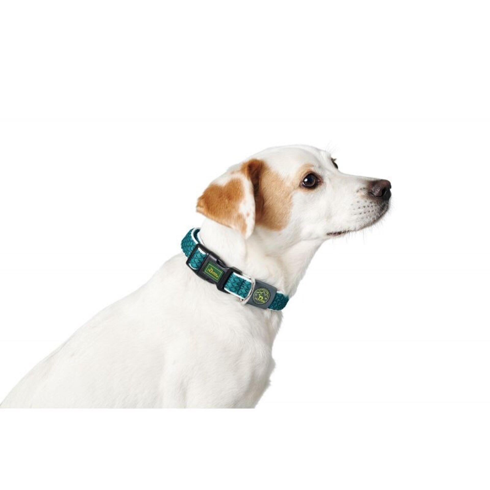 Collares Hilo Vario Basic Hunter - 3