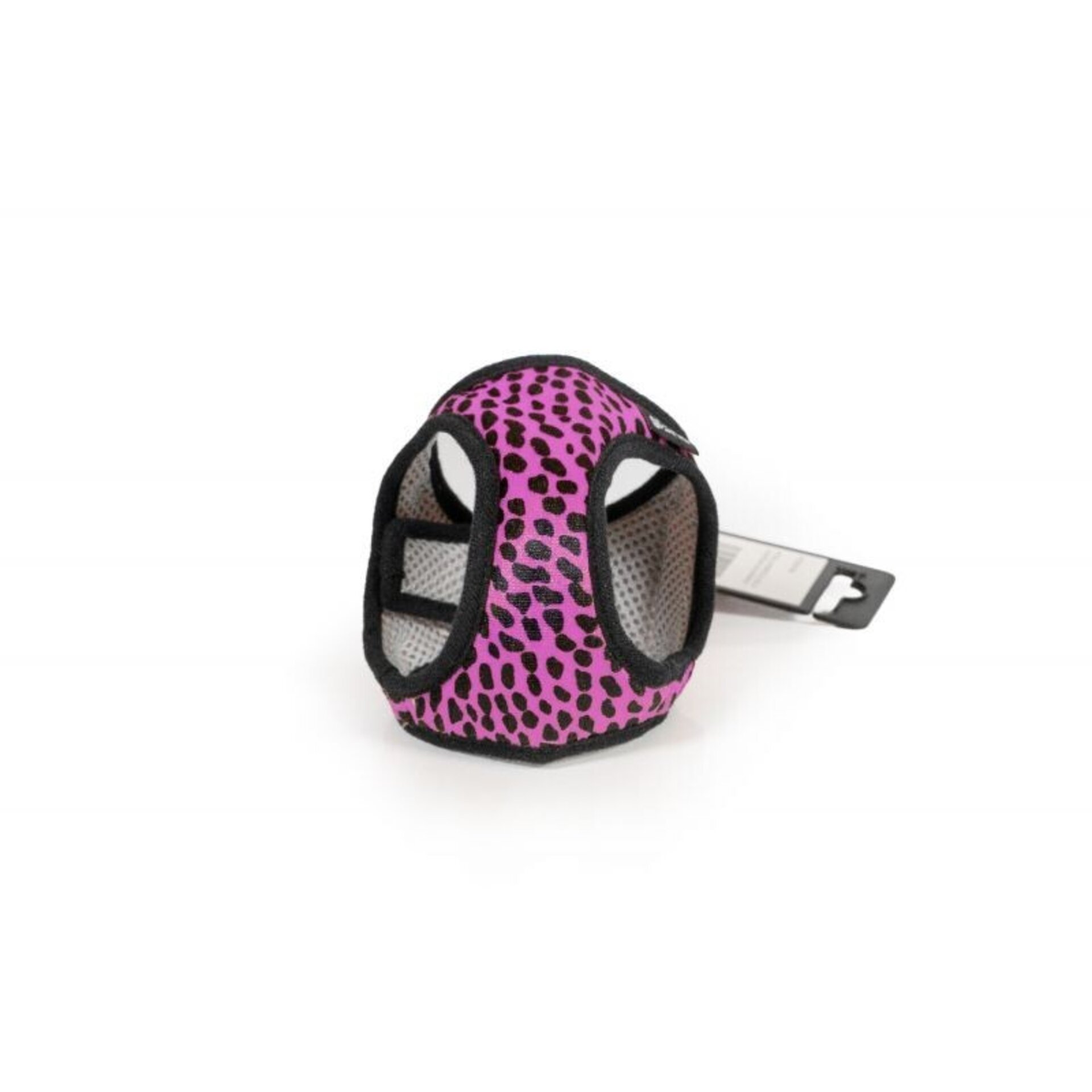 Gloria Petral Leopardo - 15