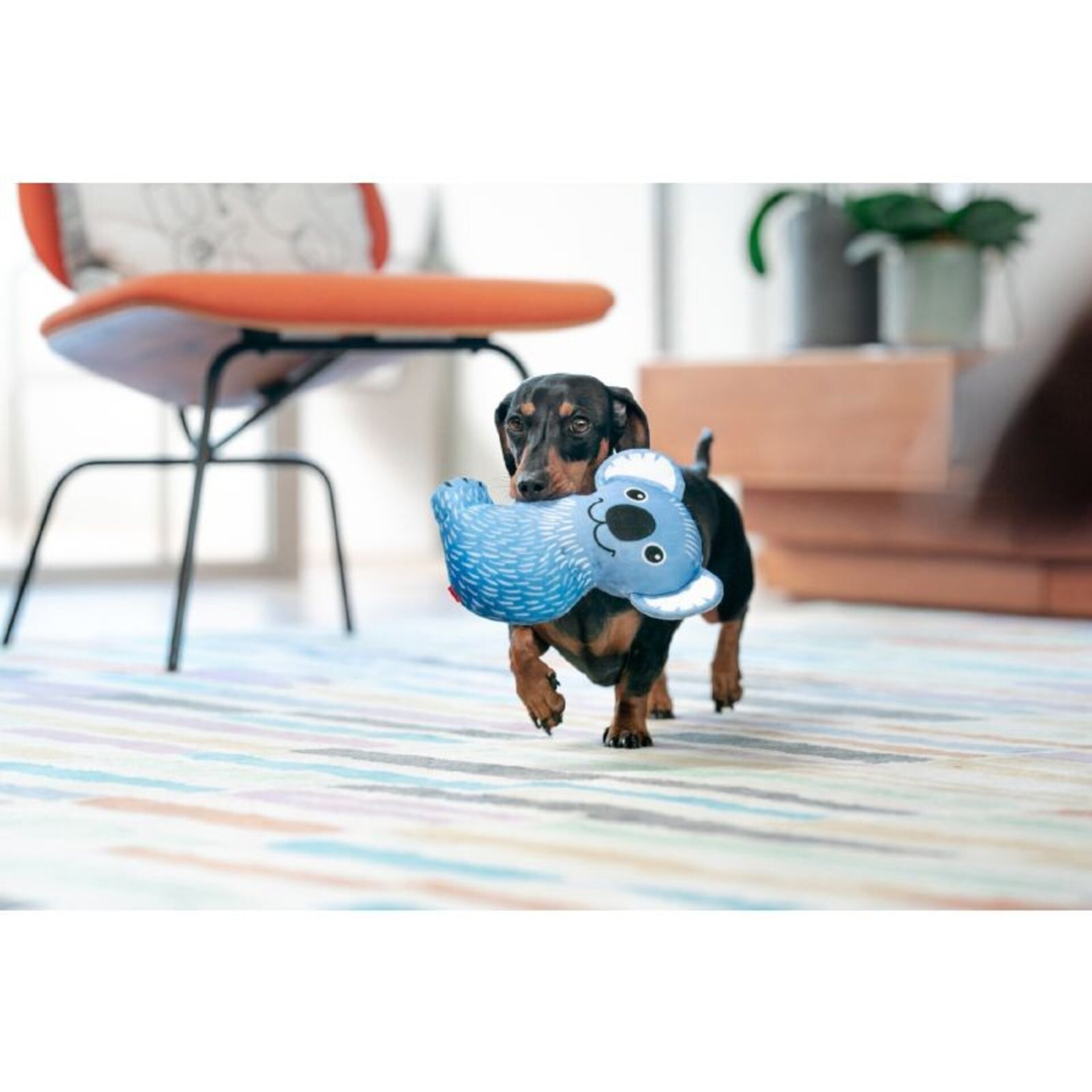 Peluches Durables Toy RedDingo - 8