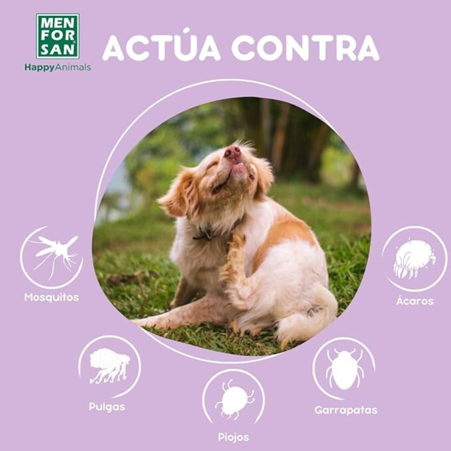 Champú En Espuma Anti Insectos Para Perros Men For San - 5