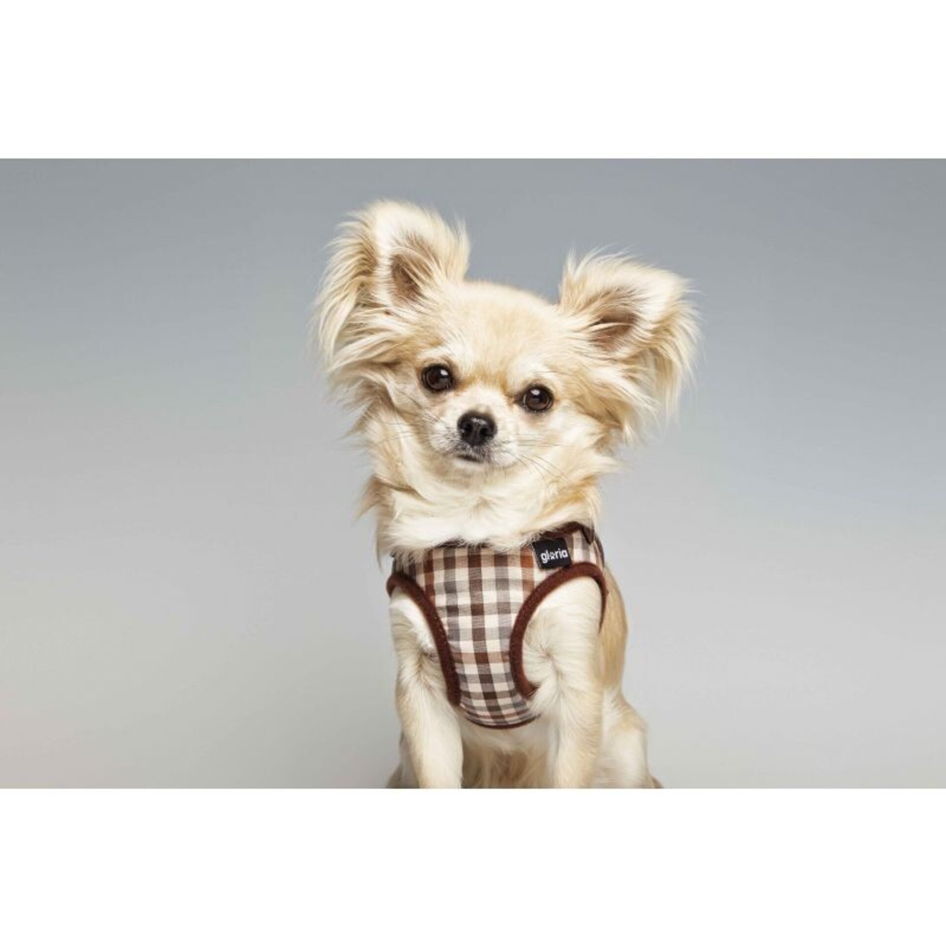 Petral Checked Marron - 1