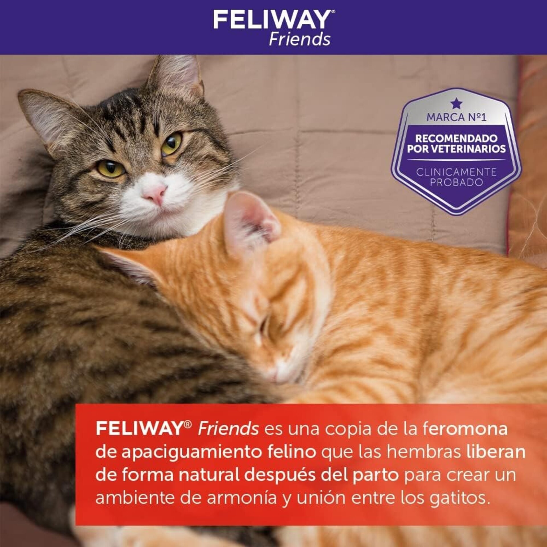 Feliway Friends Difusor + Recambio 48ml 1 Mes - 7