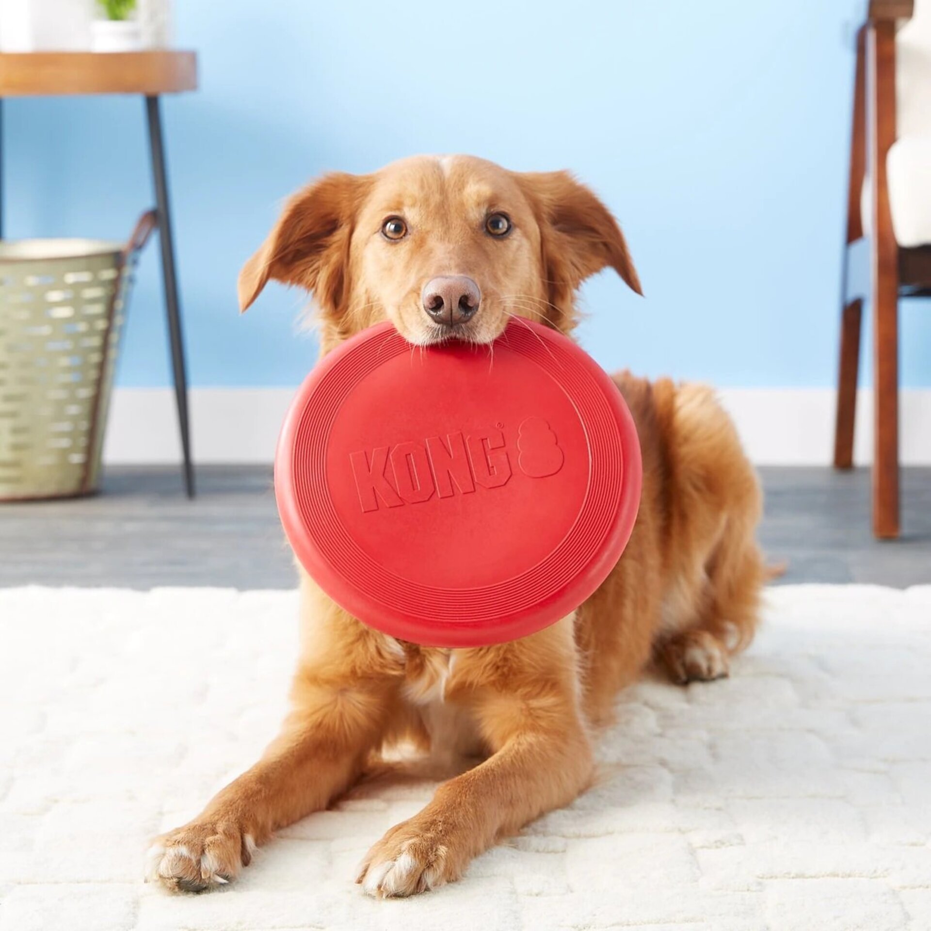 Kong Flyer Classic para Perros - 3