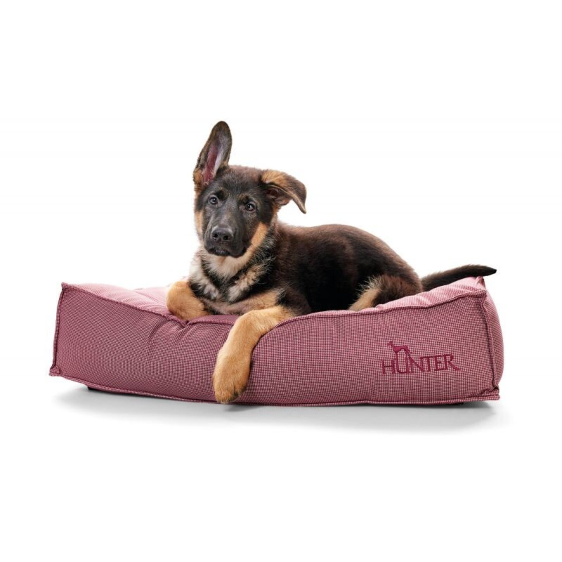 Cama Acolchada Lancaster Hunter - 7