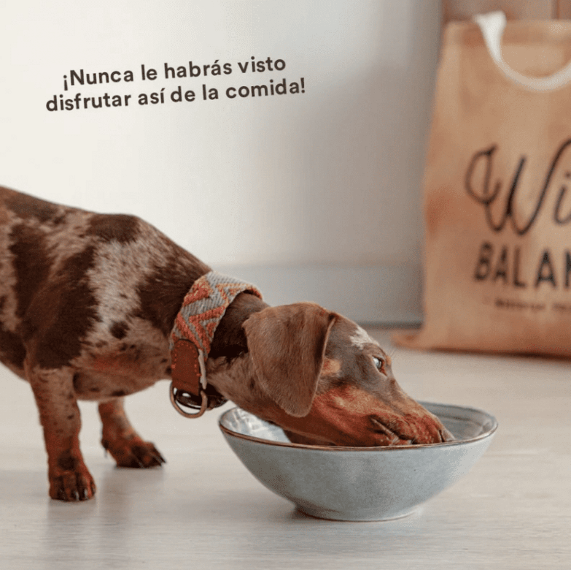 Wild Balance Menú BARF De Boquerón Y Sardina Con Verduras Frescas - 6