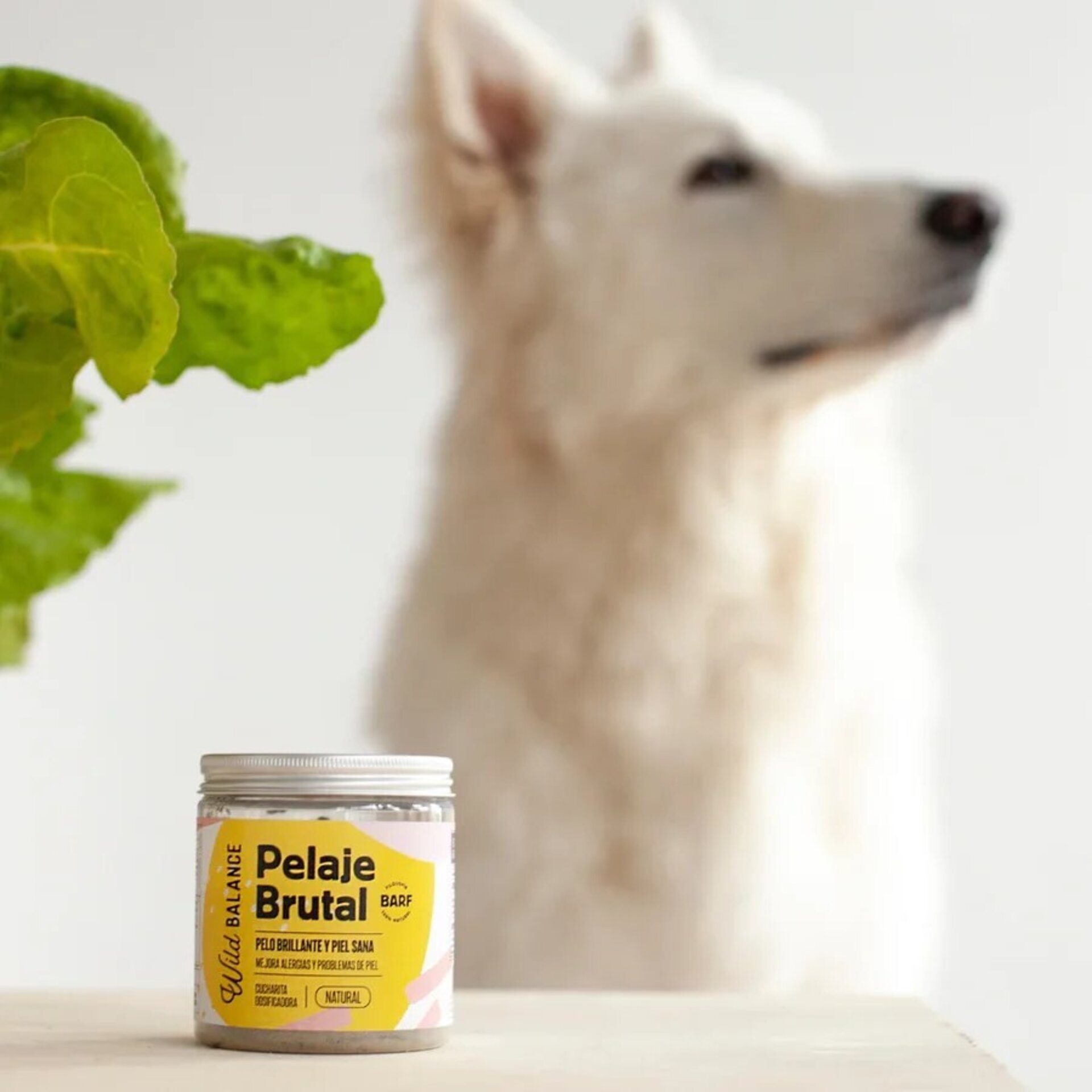 Wild Balance Pelaje Brutal (Perros y Gatos) - 8