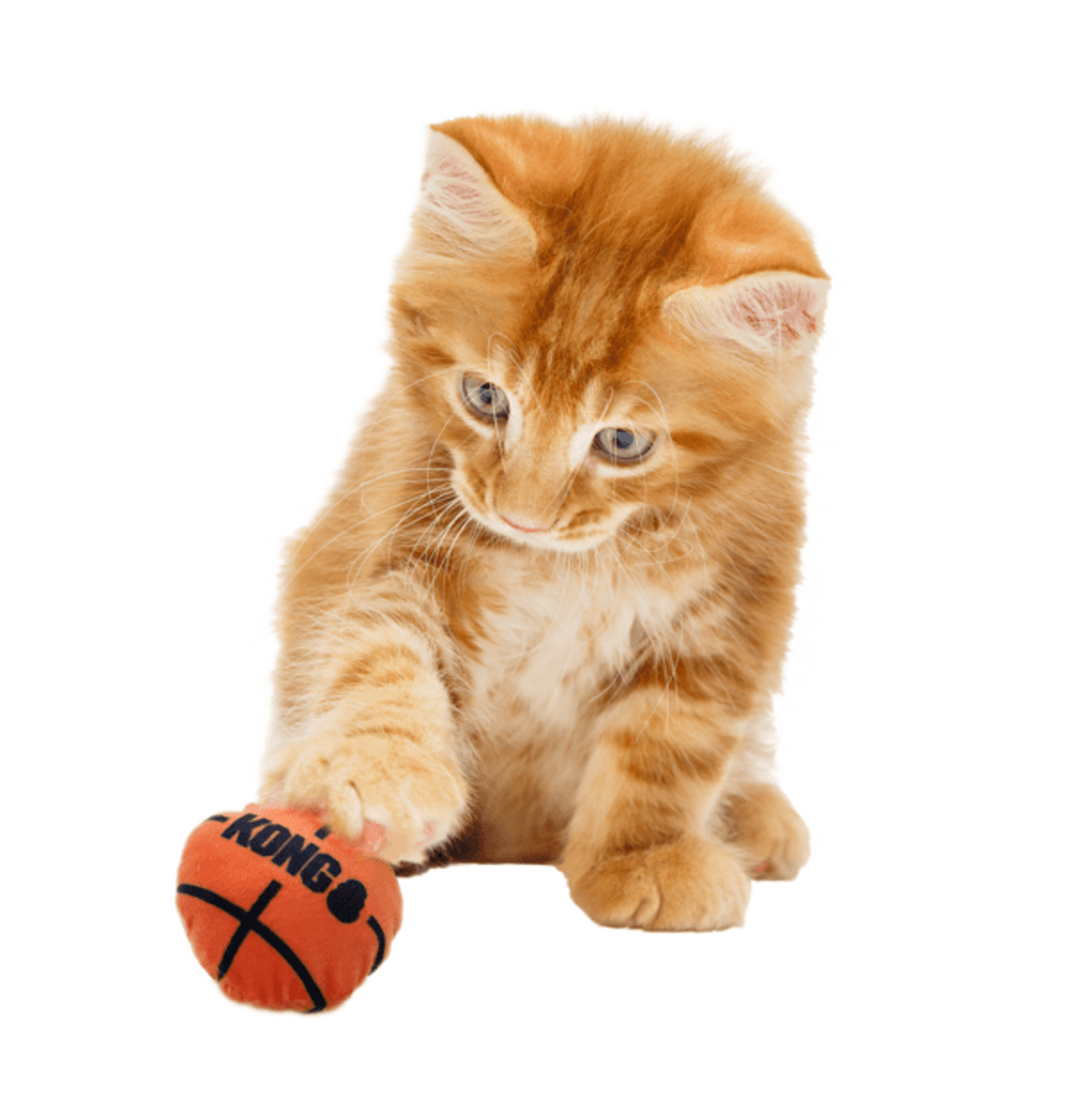 Pelotas Kong Cat Sport - 1