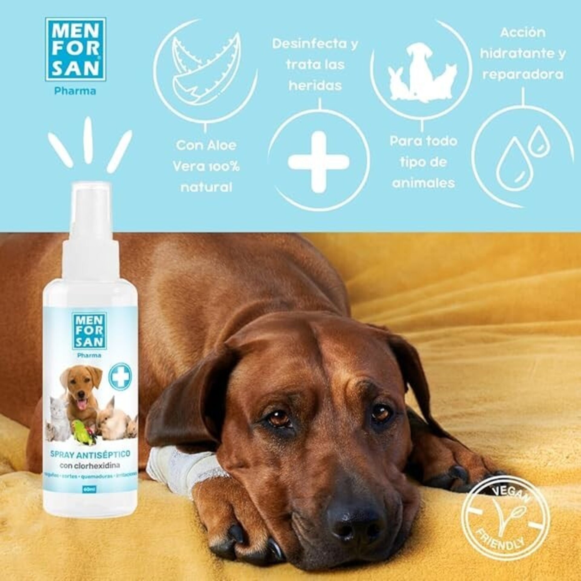 Spray Antiséptico Con Clorhexidina Y Aloe Vera Men For San - 1