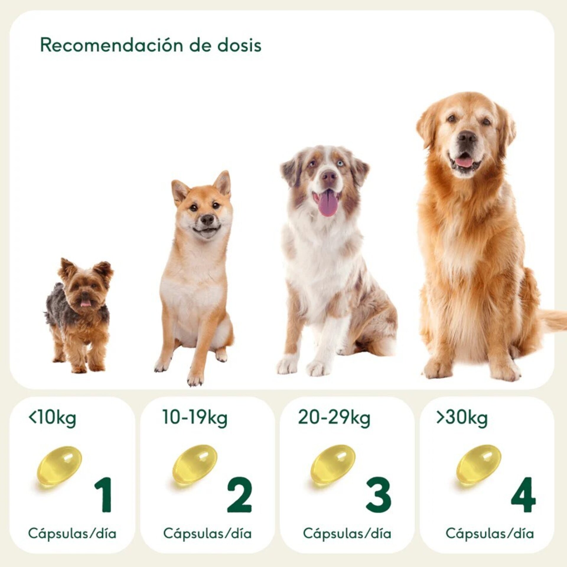 Wild Balance Pelaje Radiante Omega 3 (Perros y Gatos) - 4