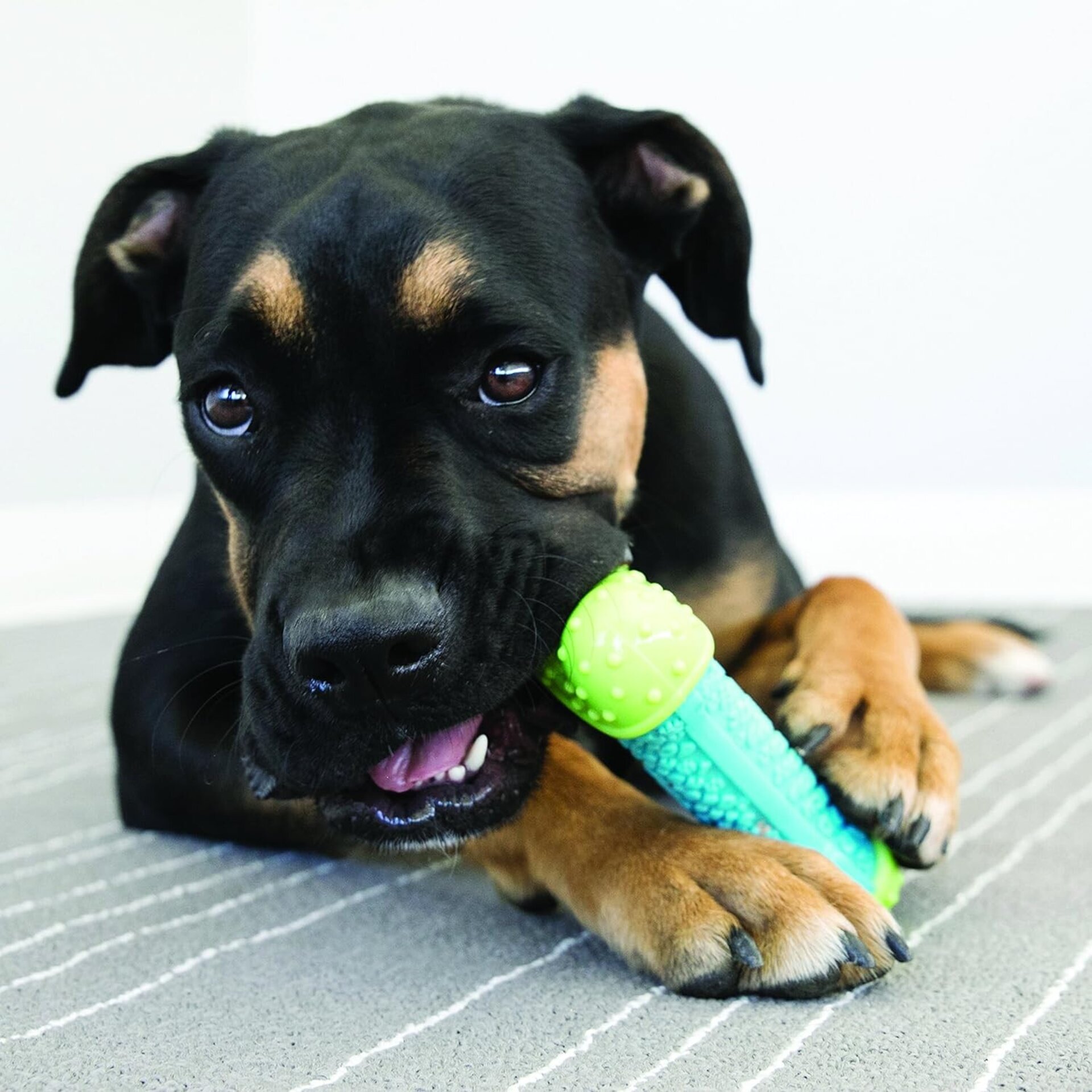 Kong Corestrength Bone - 4