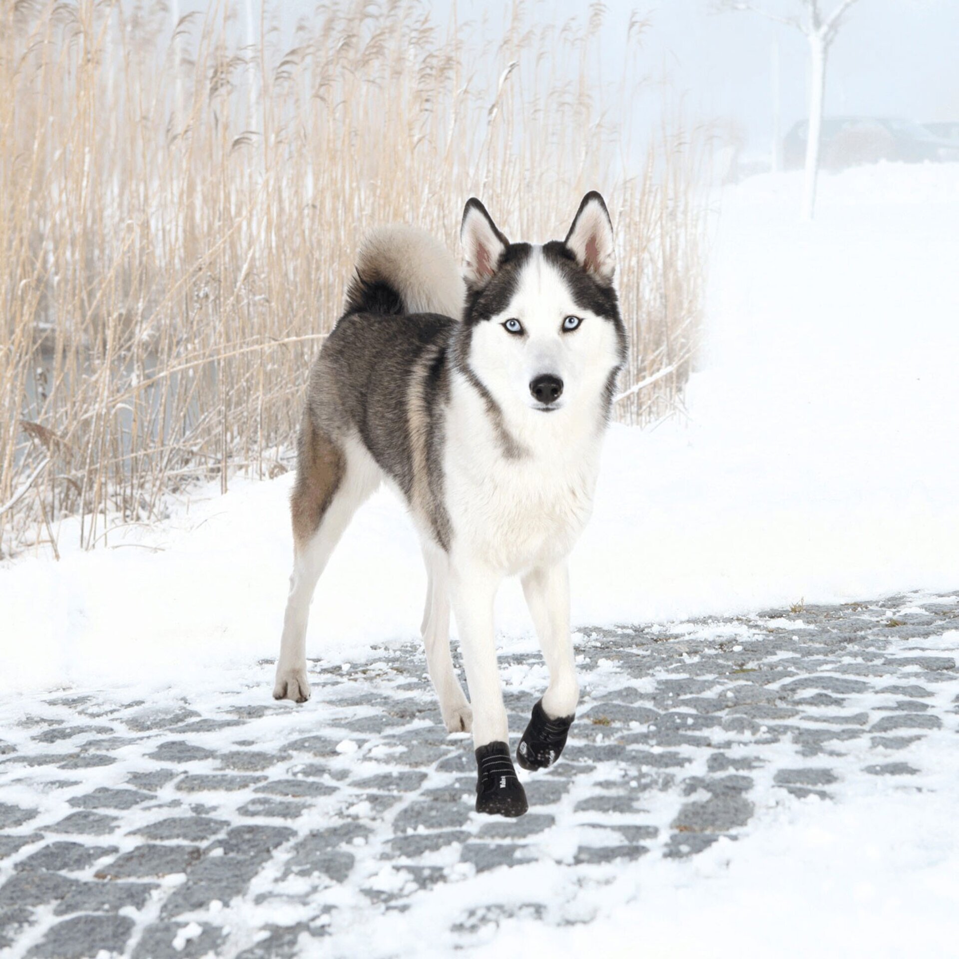 Botas Protectoras Walker Active - 4