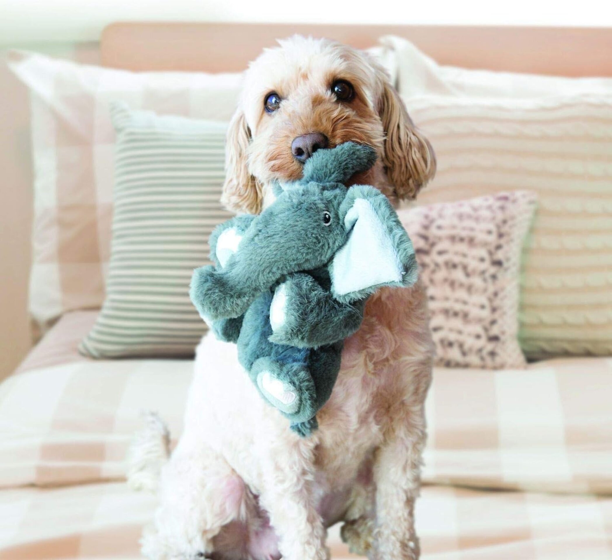 Peluche Kong Comfort Kiddos Elefante - 3