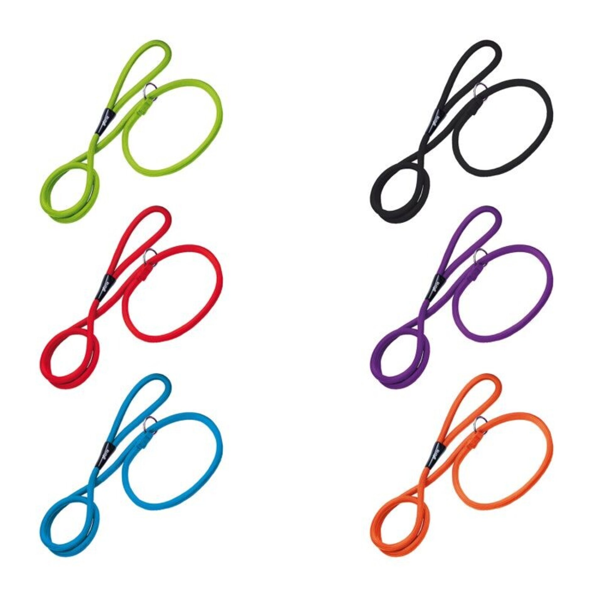 Gloria Correa-Collar de Adiestramiento - 3