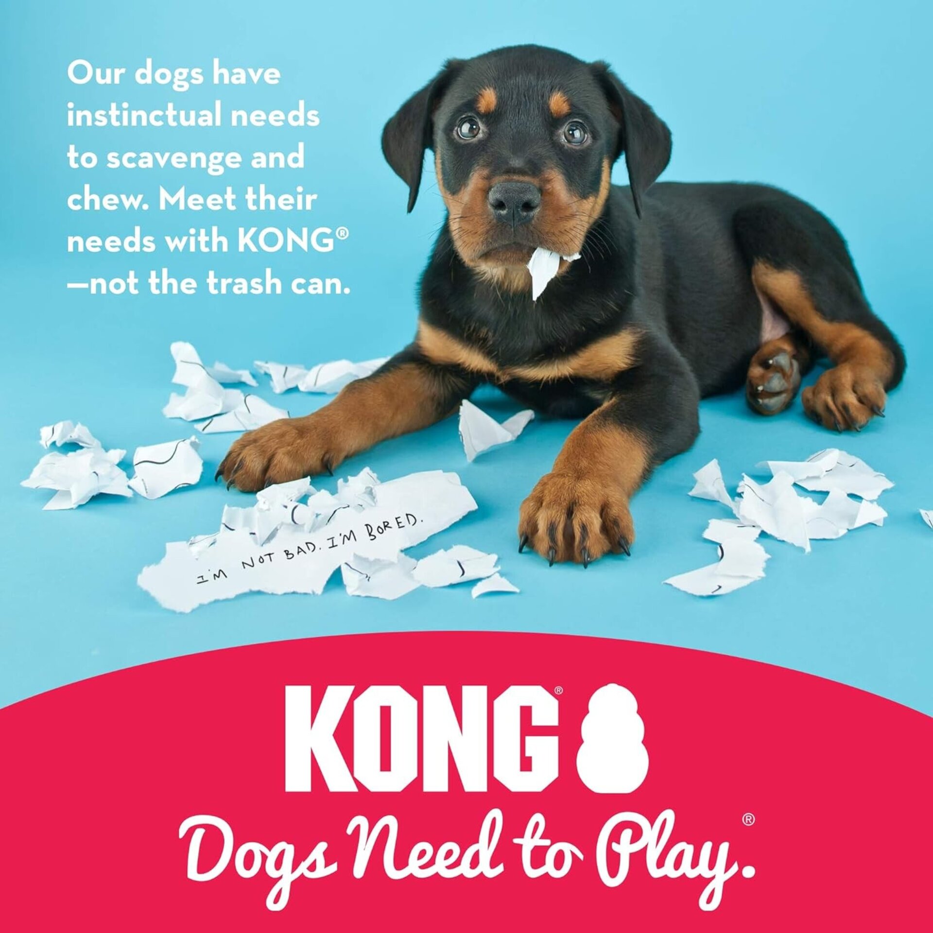 Kong Azul Y Rosa Especial Puppy - 5