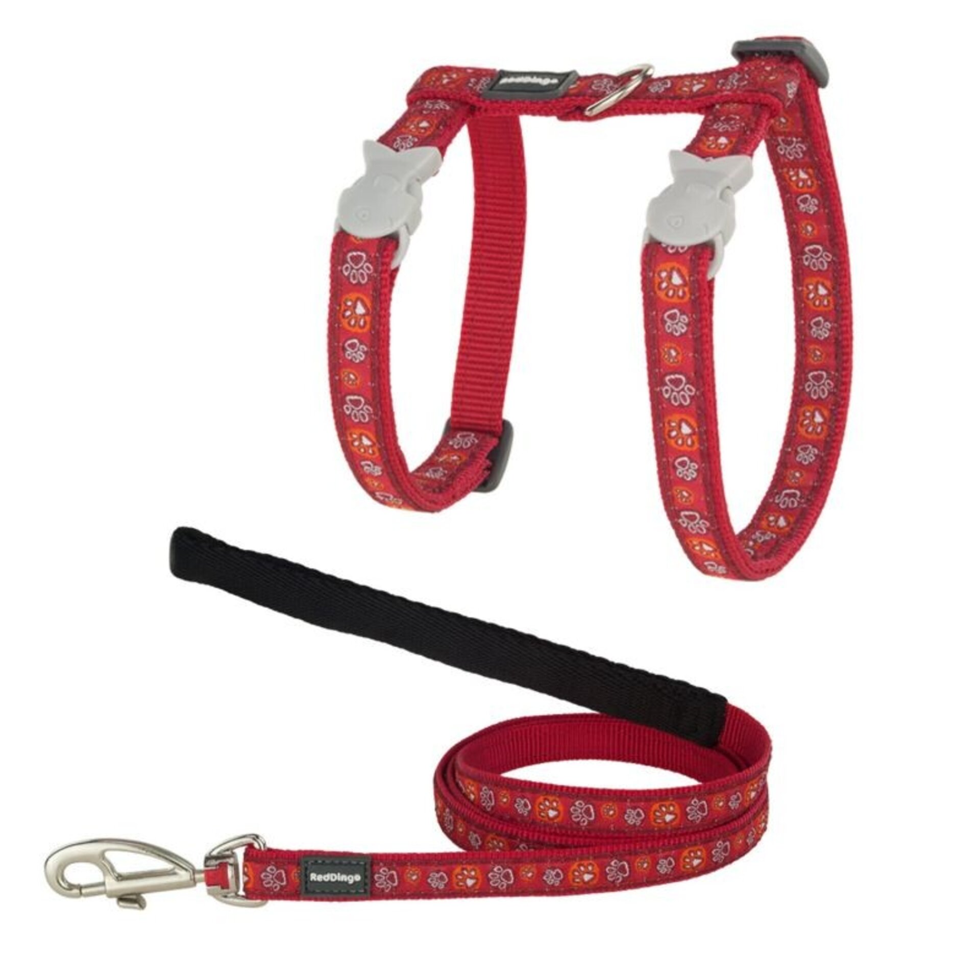 Petral + Correa Para Gatos RedDingo - 2