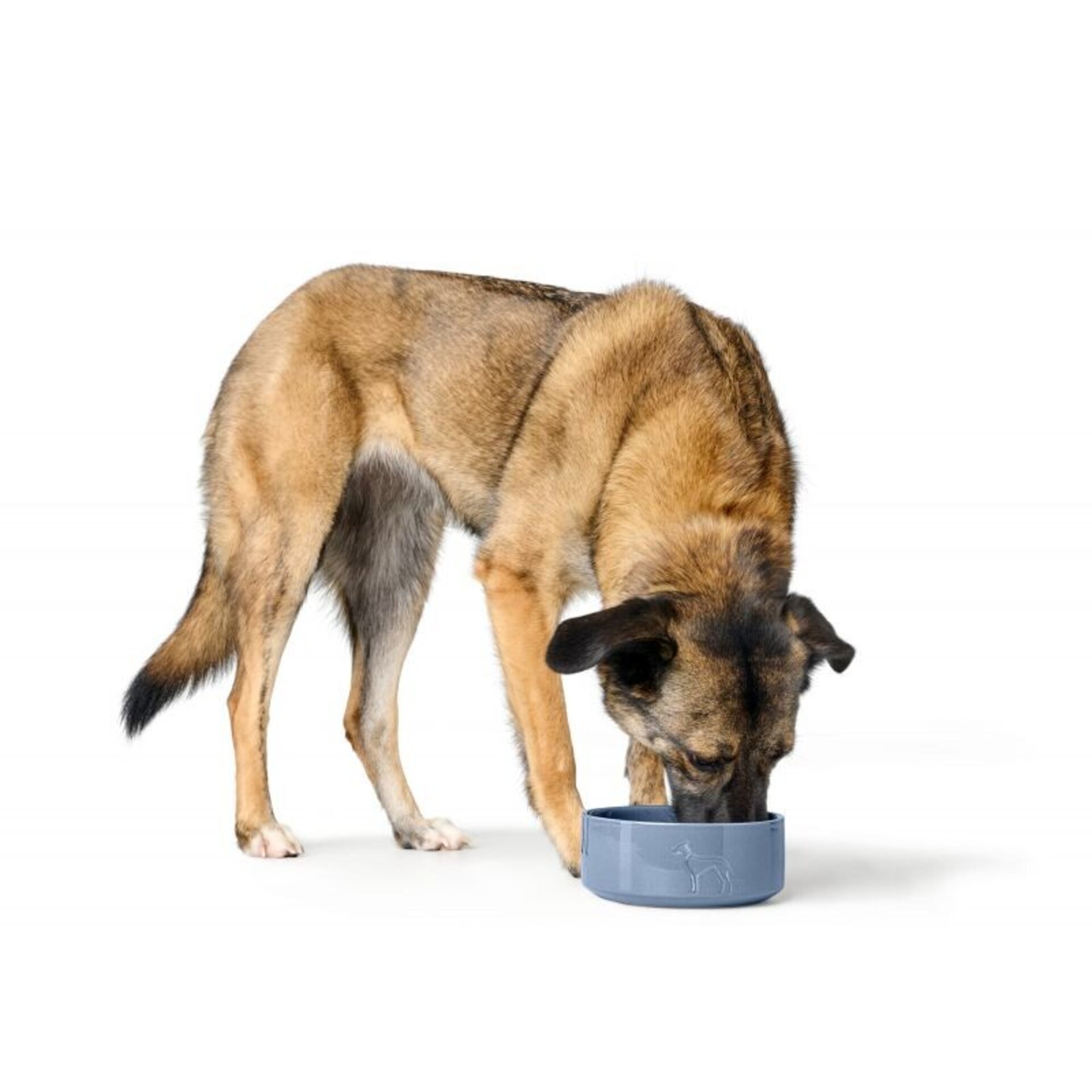 Comederos De Ceramica Osby Glazed Hunter - 2