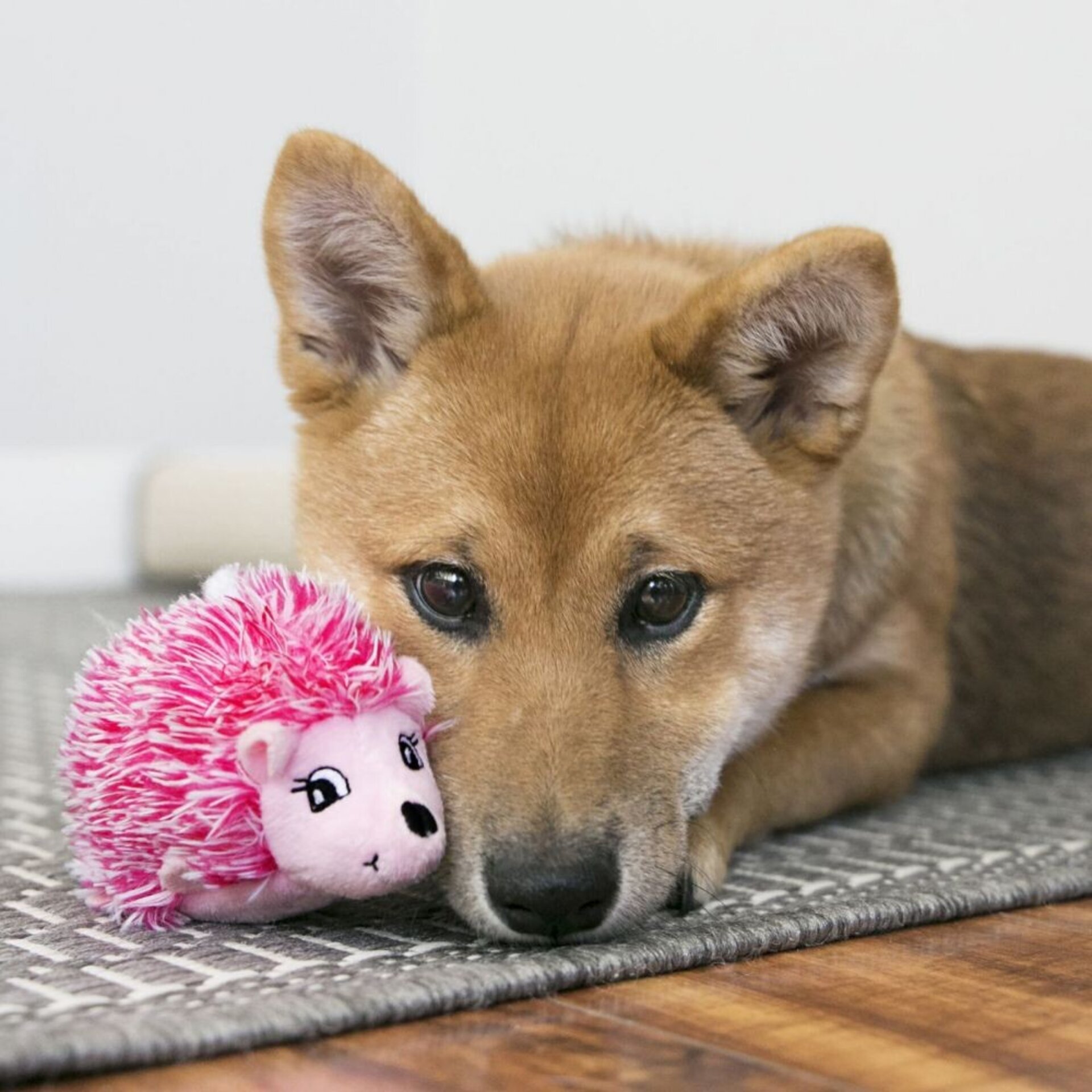 Peluche Kong Comfort Hedgehug Puppy - 3