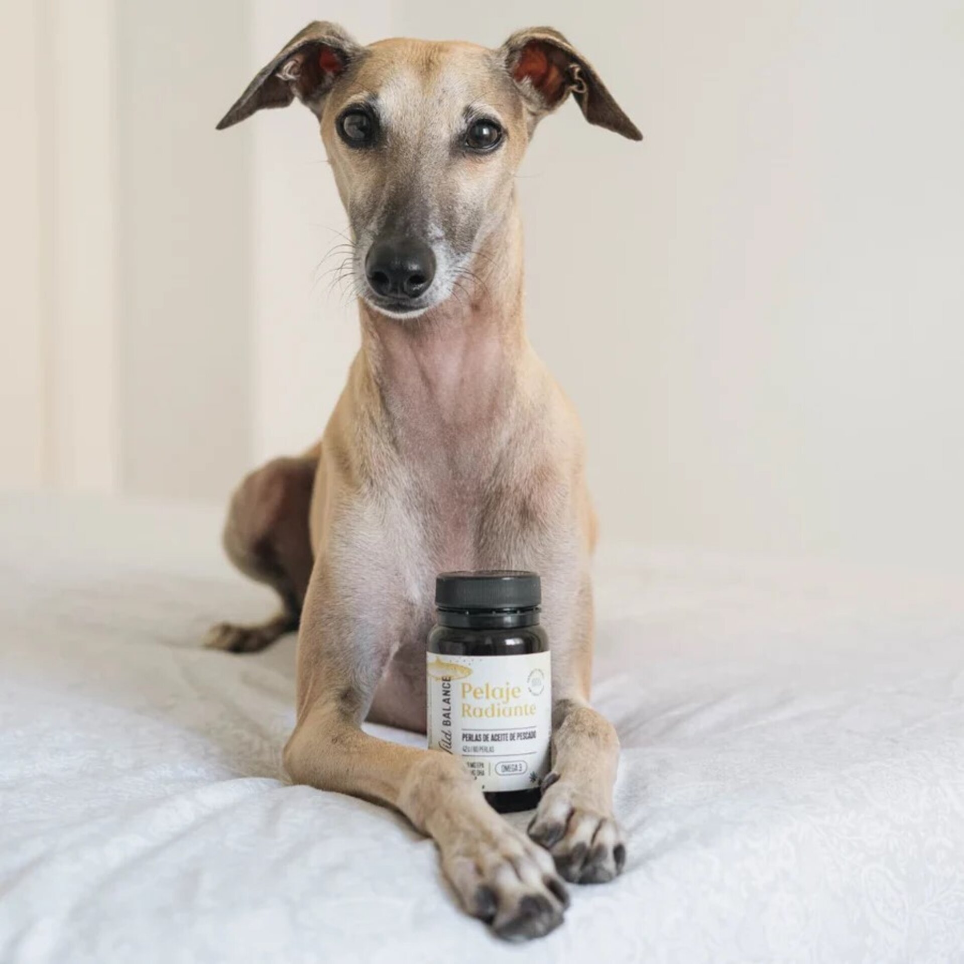 Wild Balance Pelaje Radiante Omega 3 (Perros y Gatos) - 8