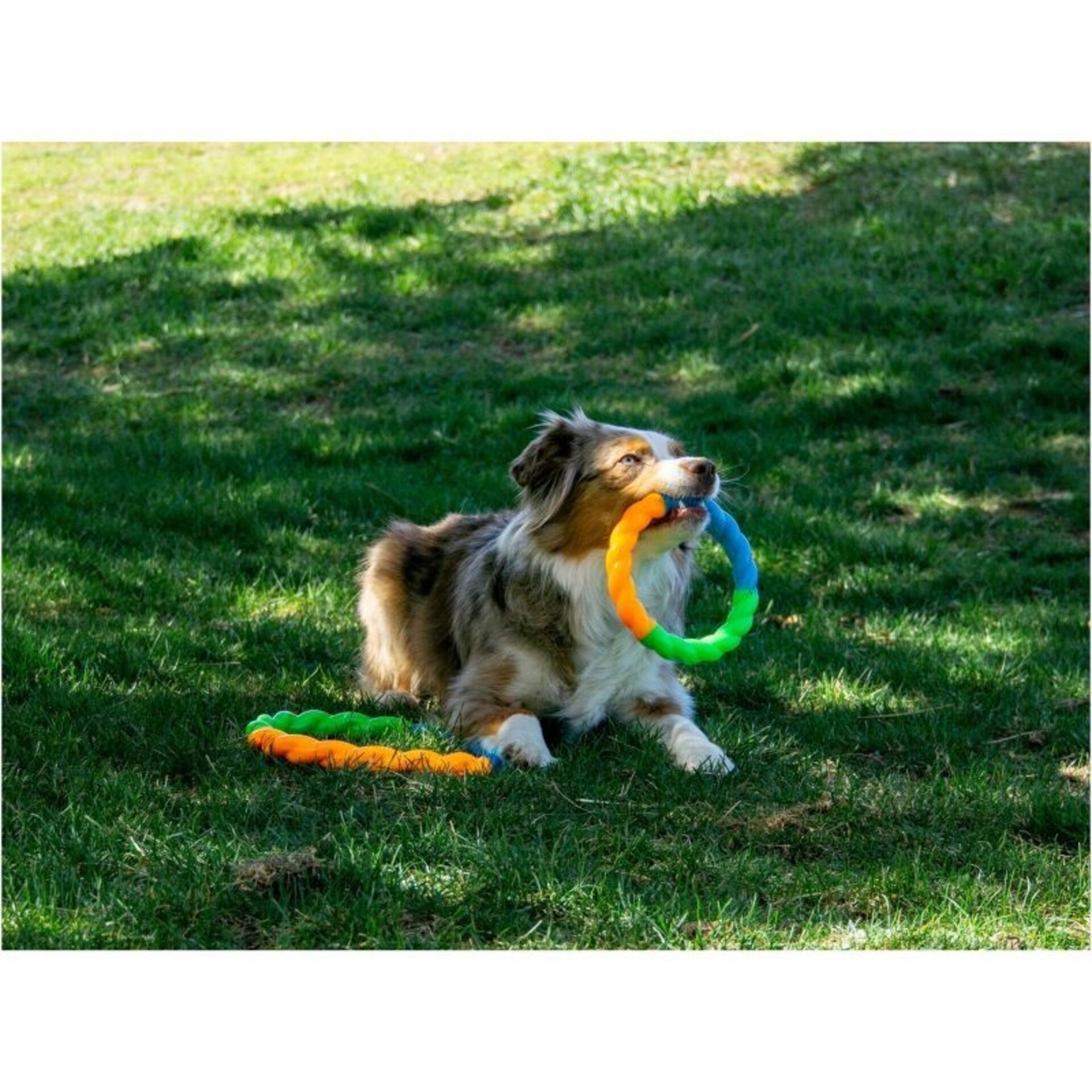 Kong Ring Twistz High-Viz para Perros - 2