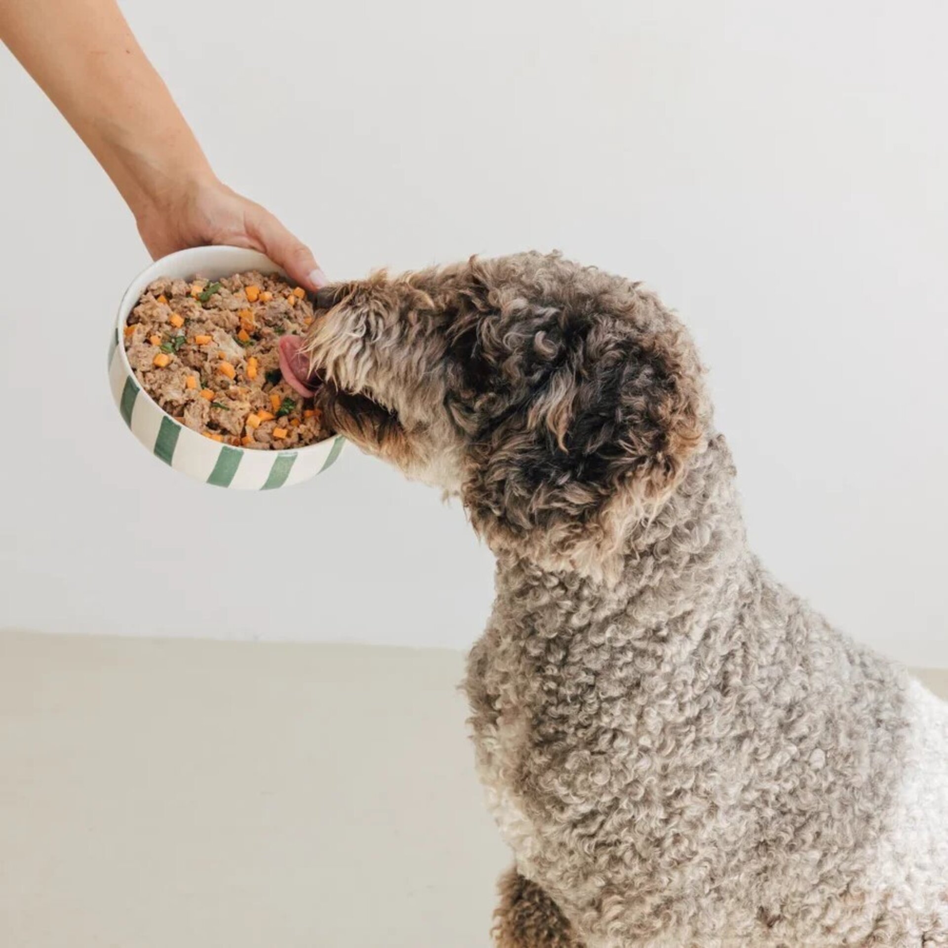 Wild Balance Latas – Pavo / Cordero / Pollo / Ternera / Cerdo (Filosofía BARF) - 17