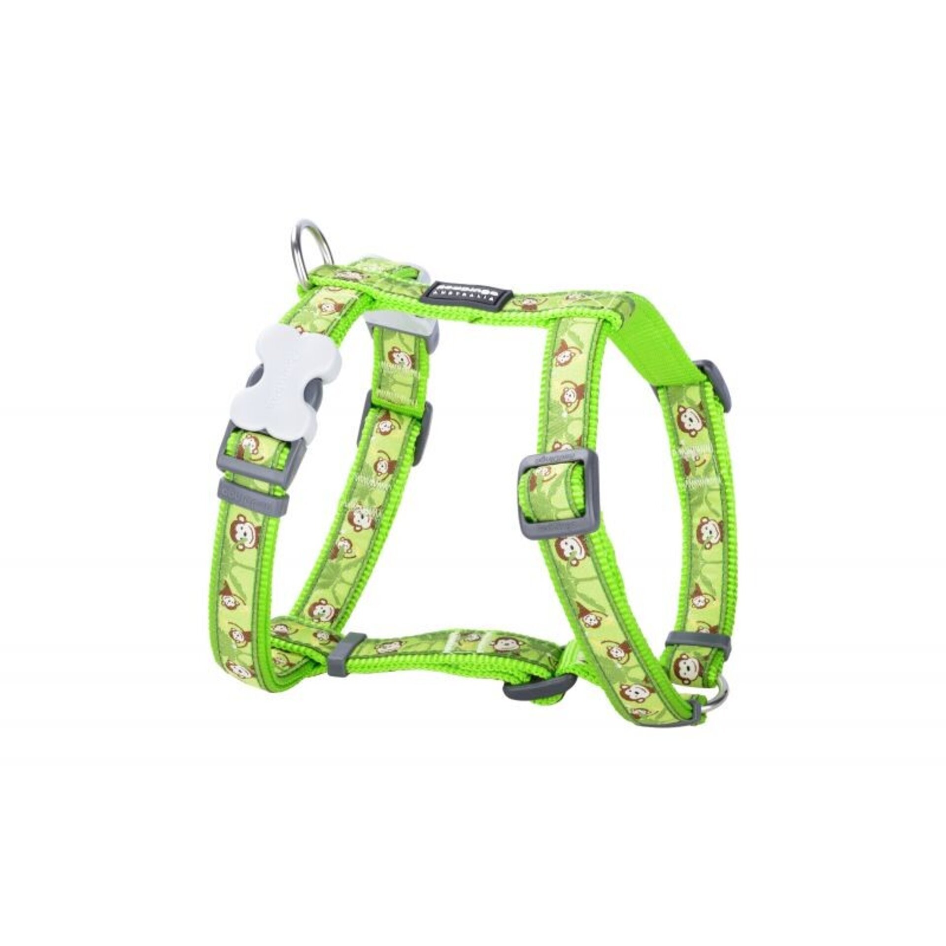 Petral Style RedDingo De Xs A M - 18