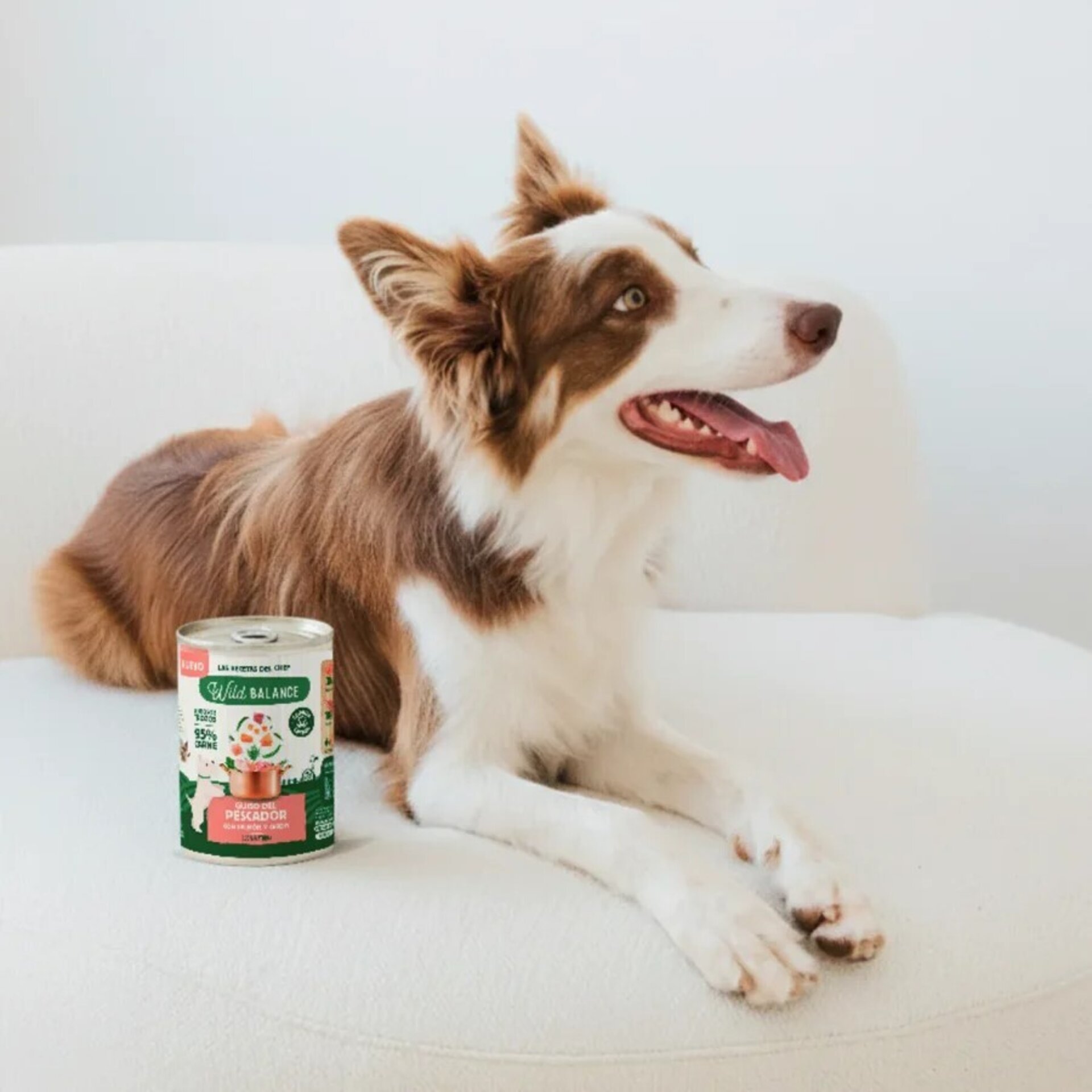 Wild Balance Lata Guiso del Pescador con Salmón y Cerdo perros (Filosofía BARF) - 5
