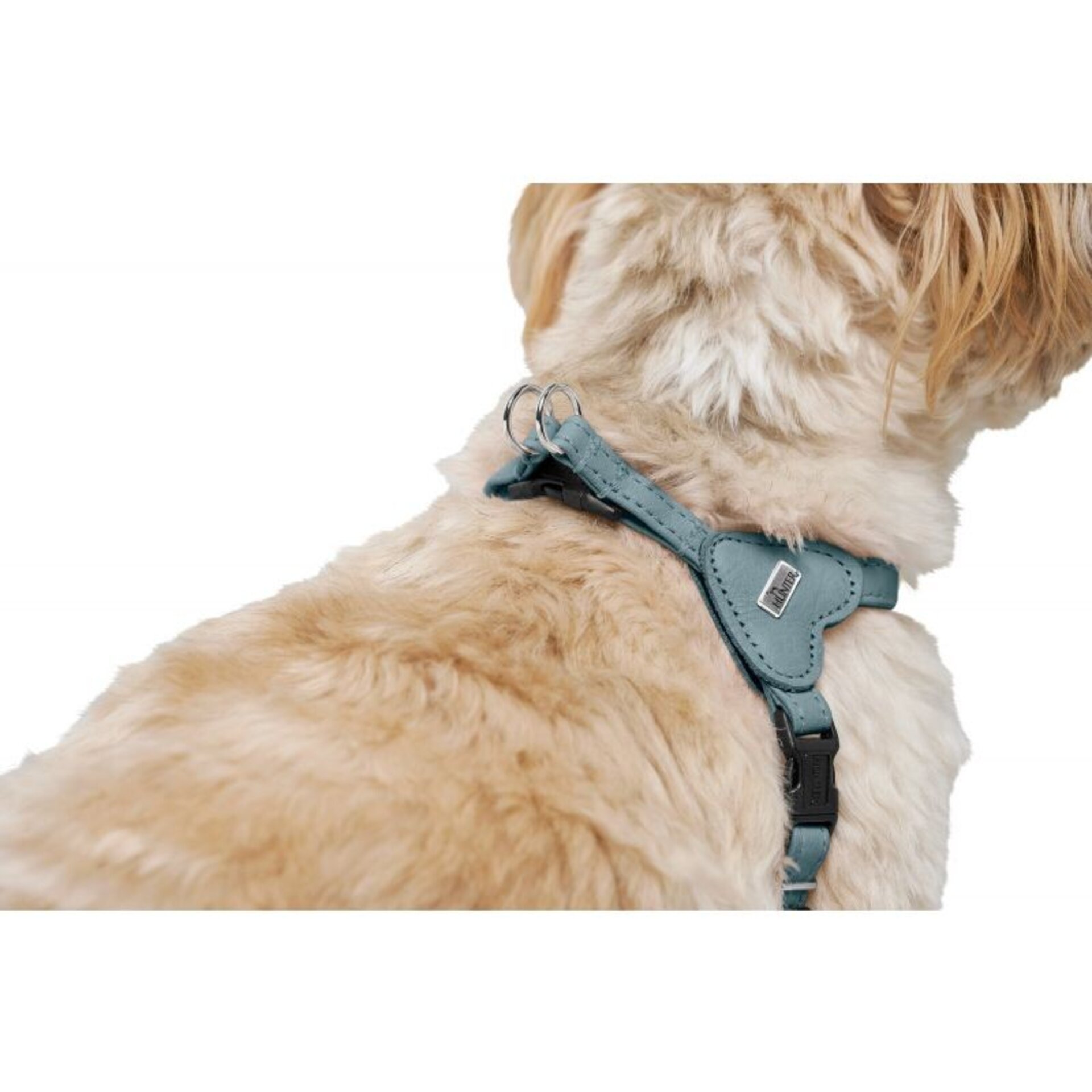 Arnes Soho Mini Hunter - 11