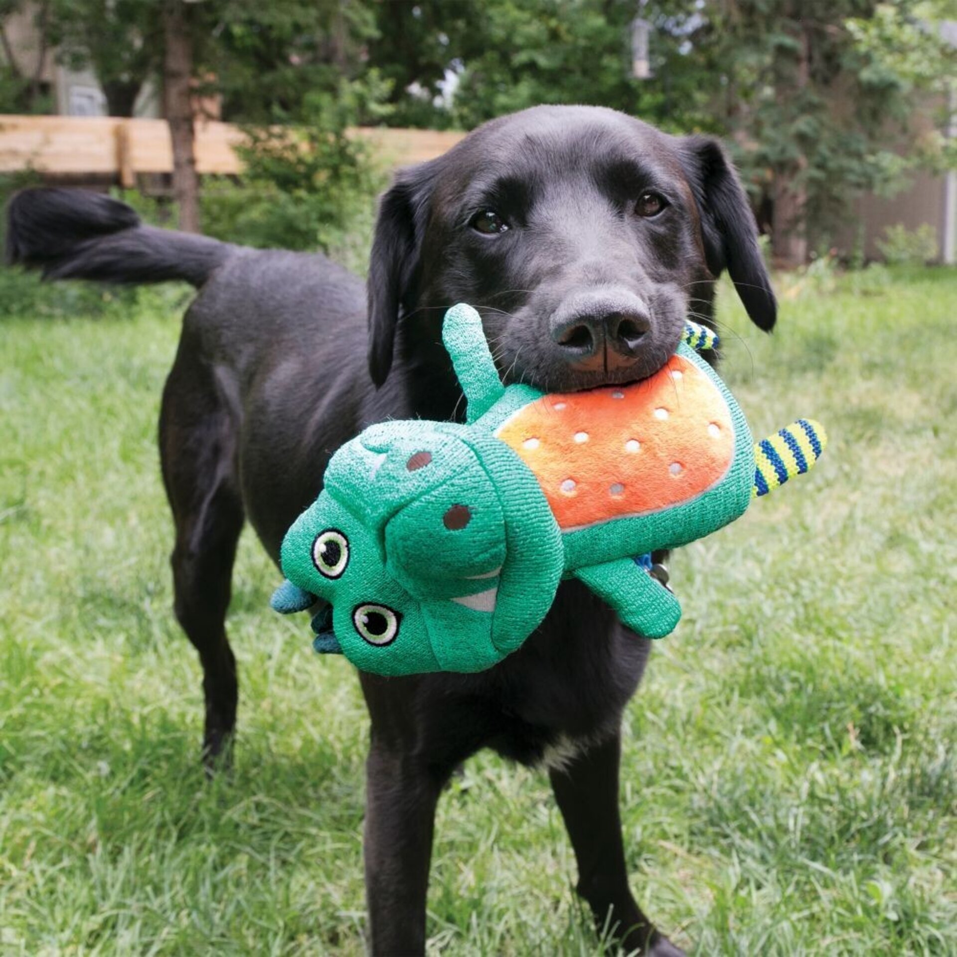 Peluche Kong Whoopz Caiman - 3
