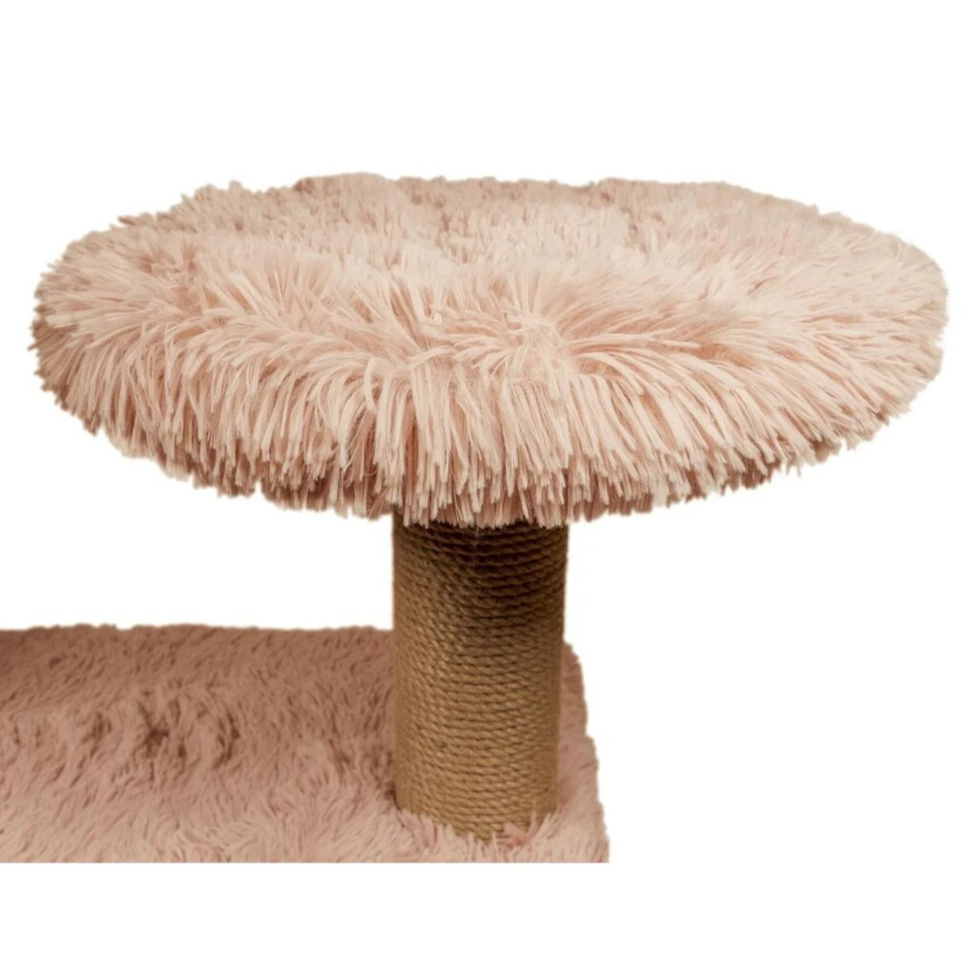 Gloria Rascador Cat Tree Amazonas para Gatos - 3