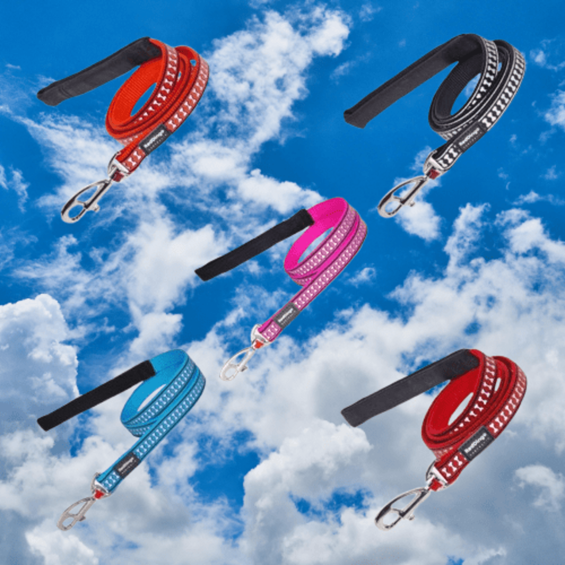 Correas Reflectante RedDingo - 1