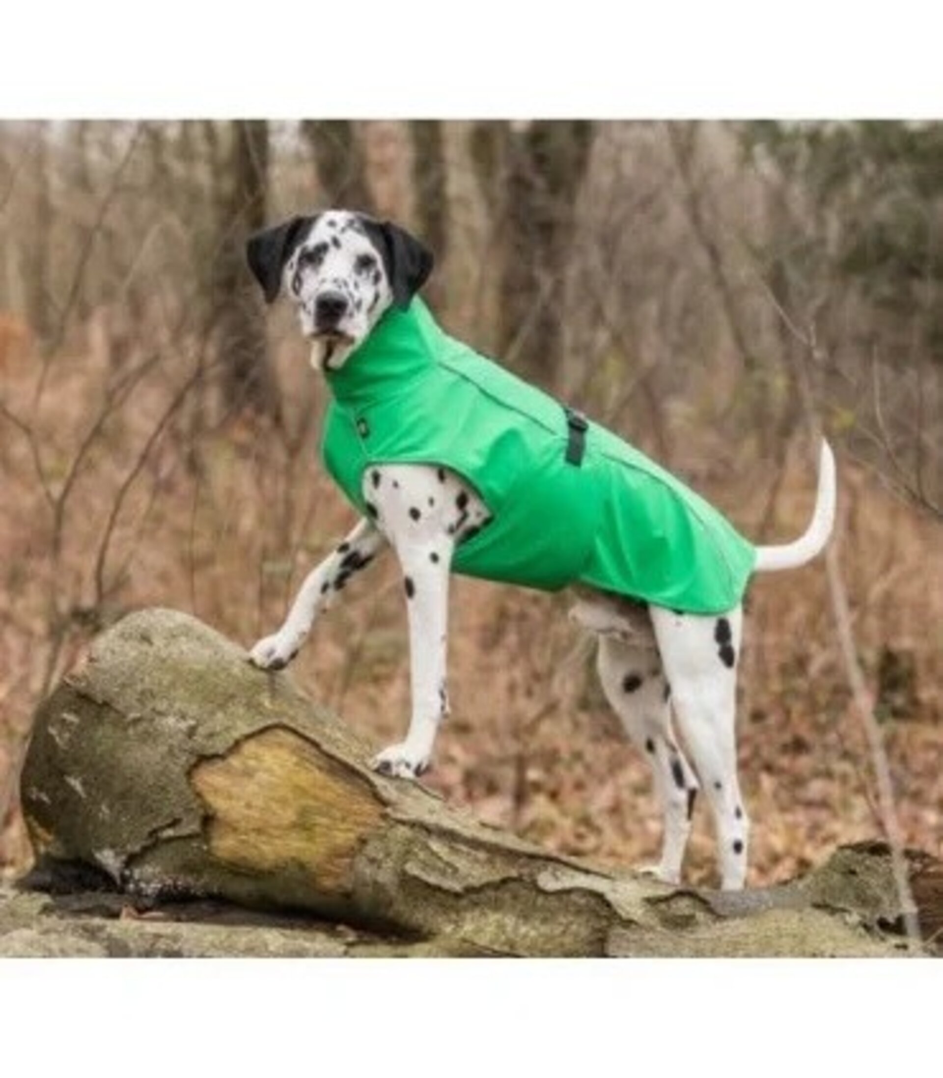 Impermeable Vimy Verde - 4