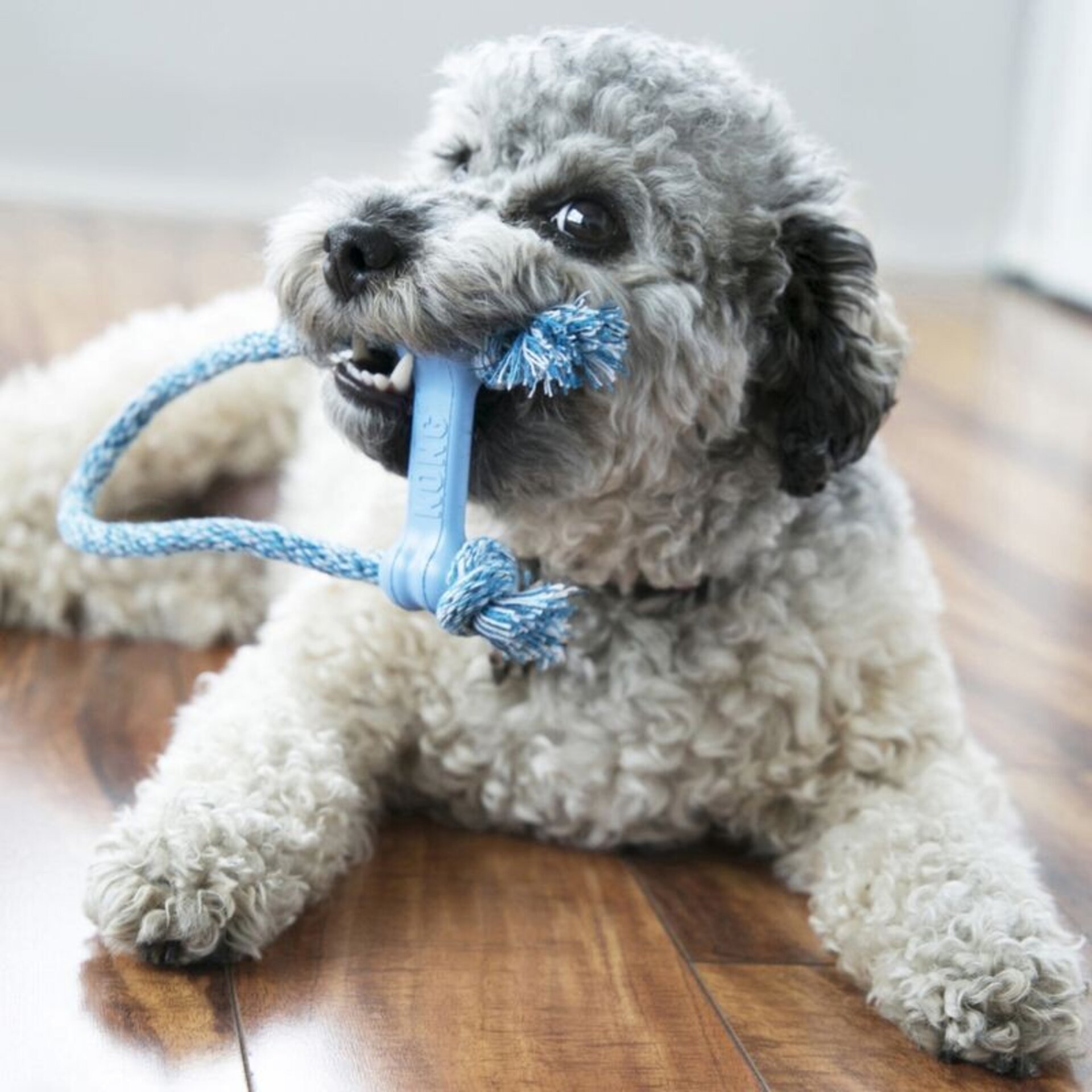 Kong Puppy Goodie Bone Con Cuerda - 1