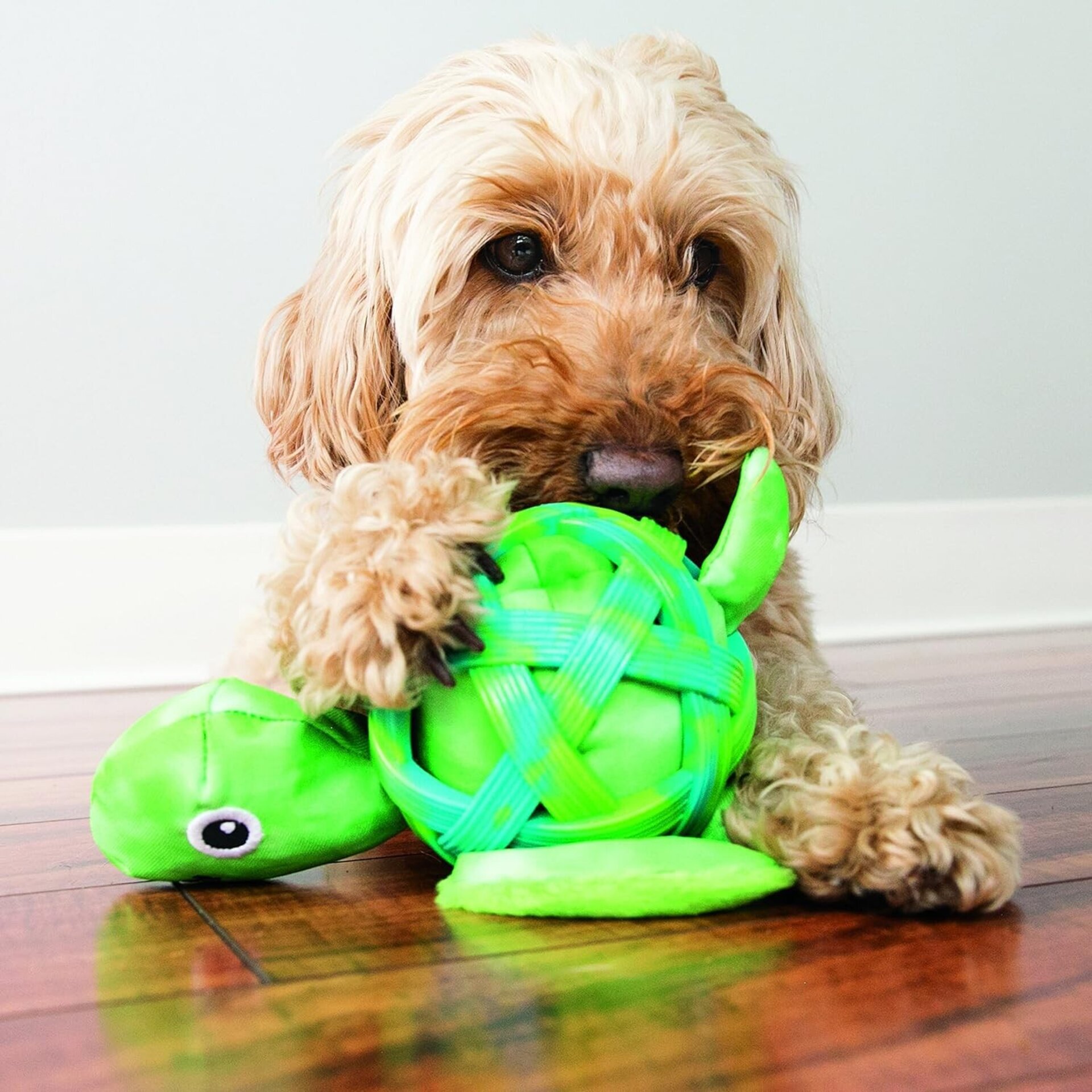 Peluche Kong Sea Shells Lobster - 3