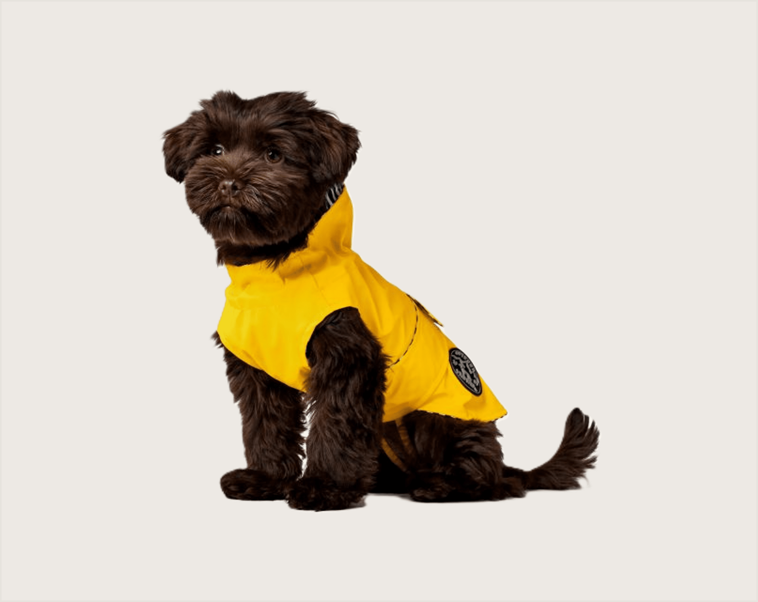 Hunter Abrigo Milford - 1