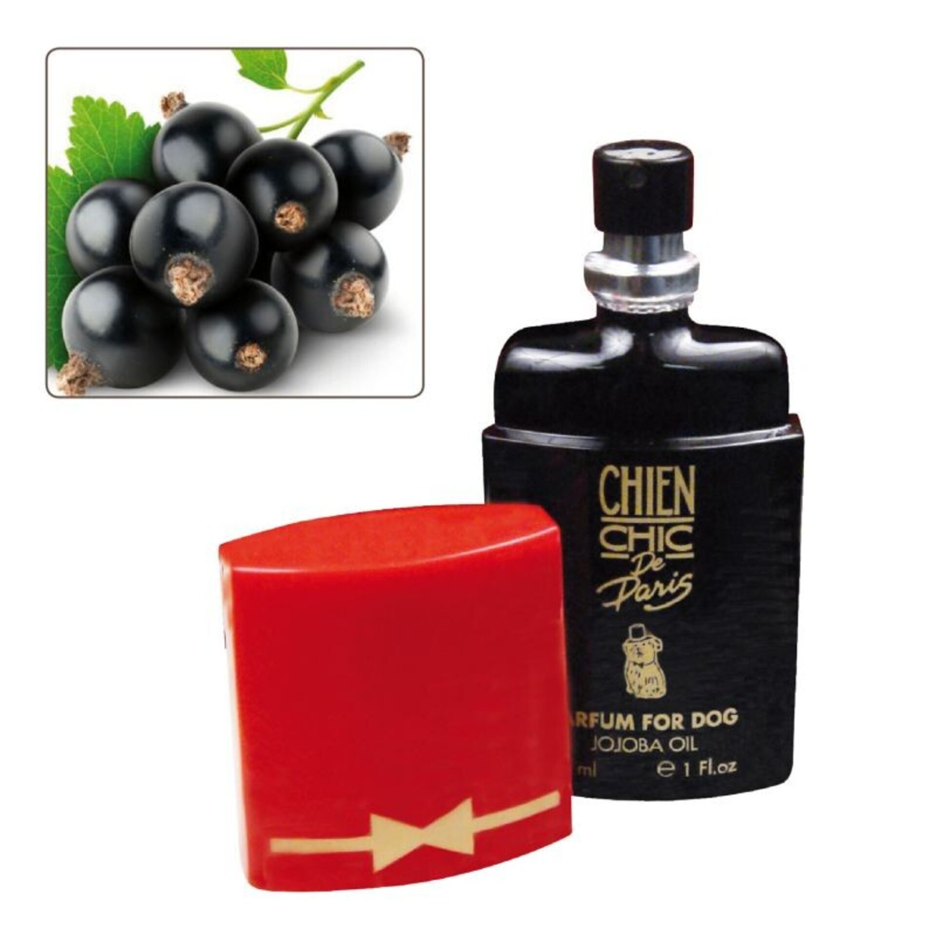 Perfumes Chien Chic De Paris - 13