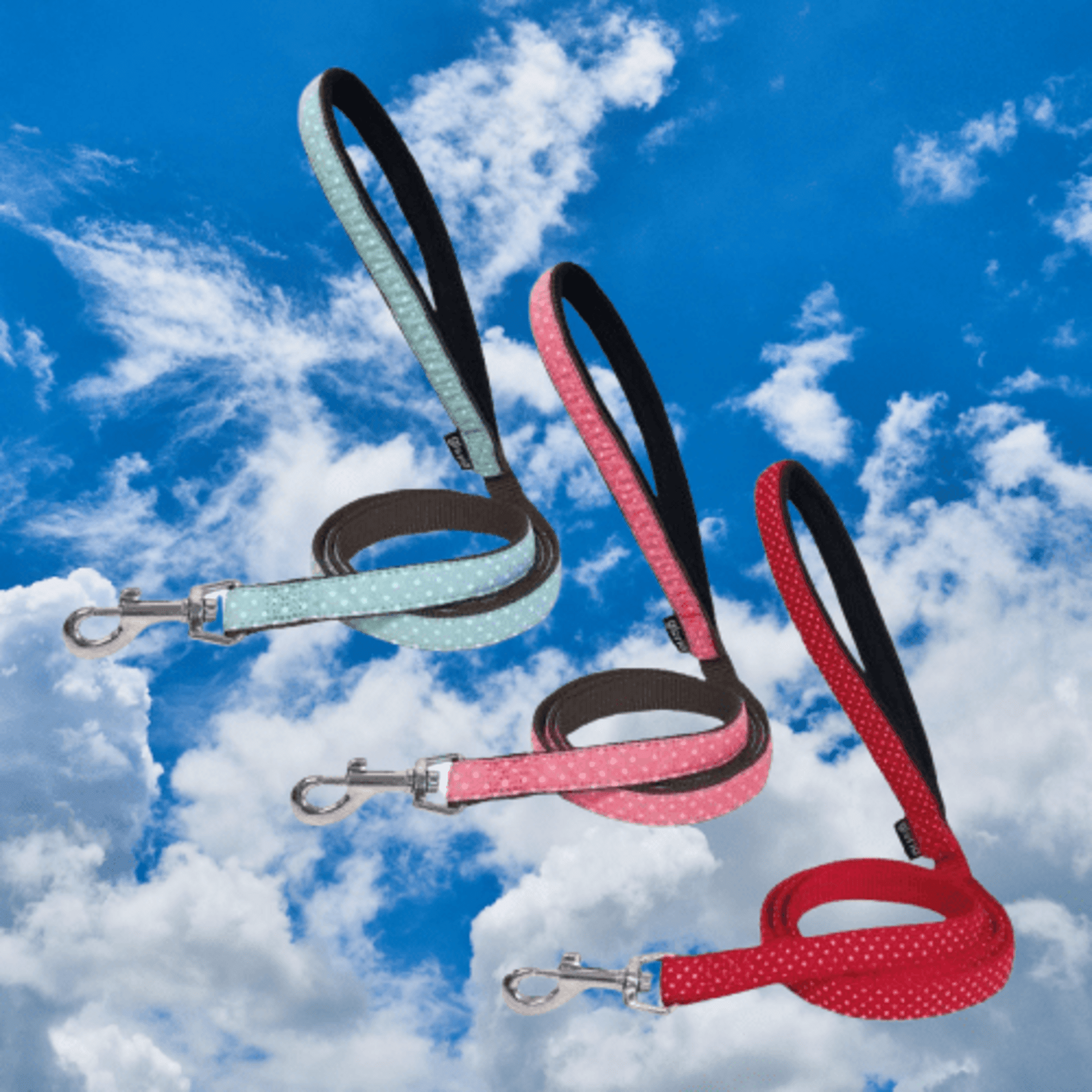 Correas Puntos - 1