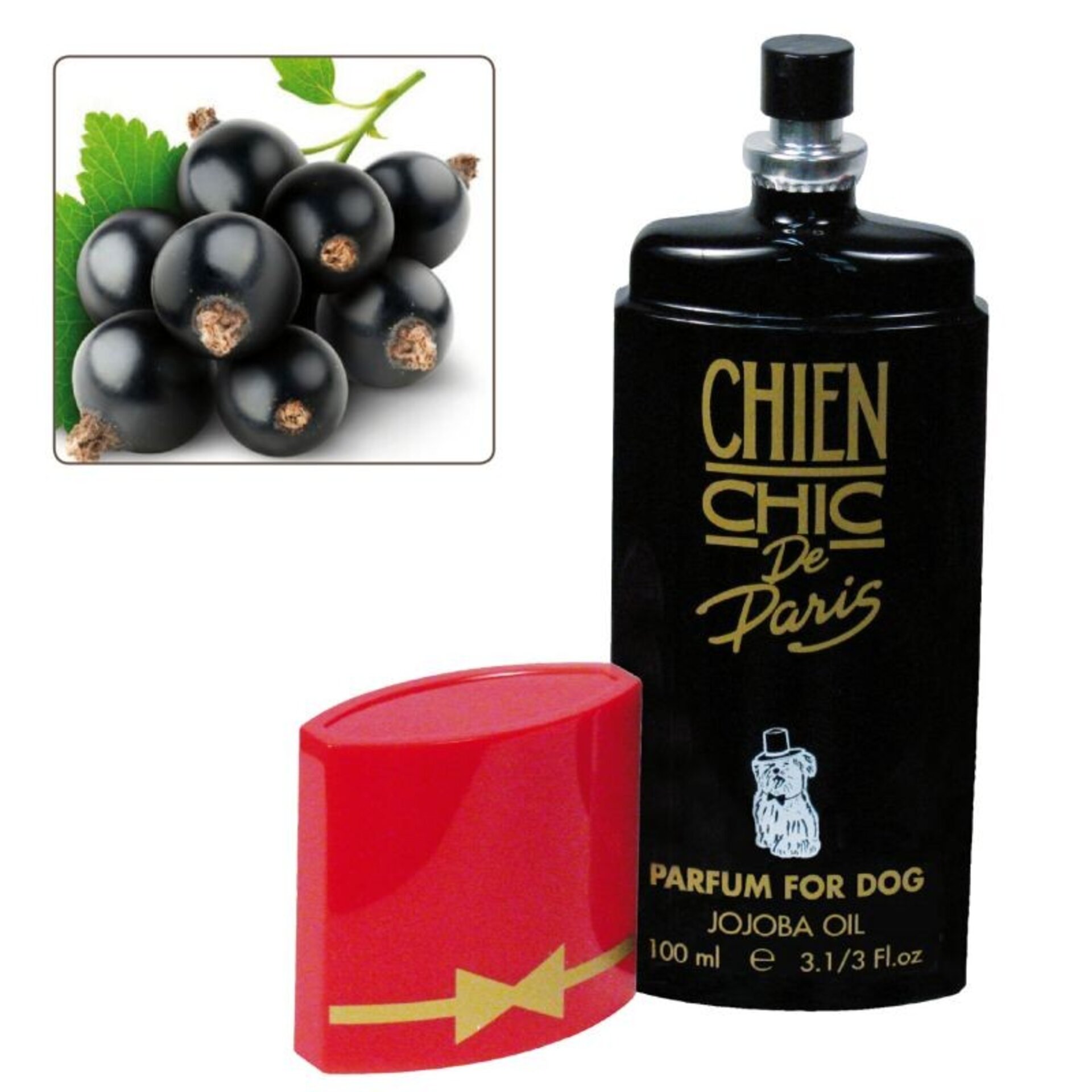 Perfumes Chien Chic De Paris - 14